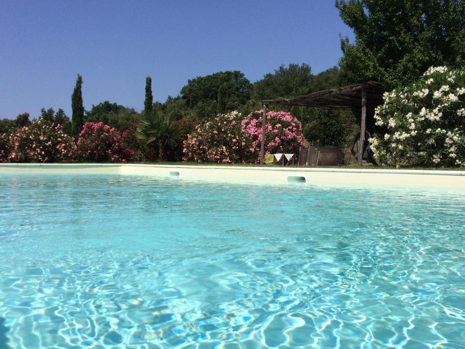 Agriturismo Lupo Vecchio view 5