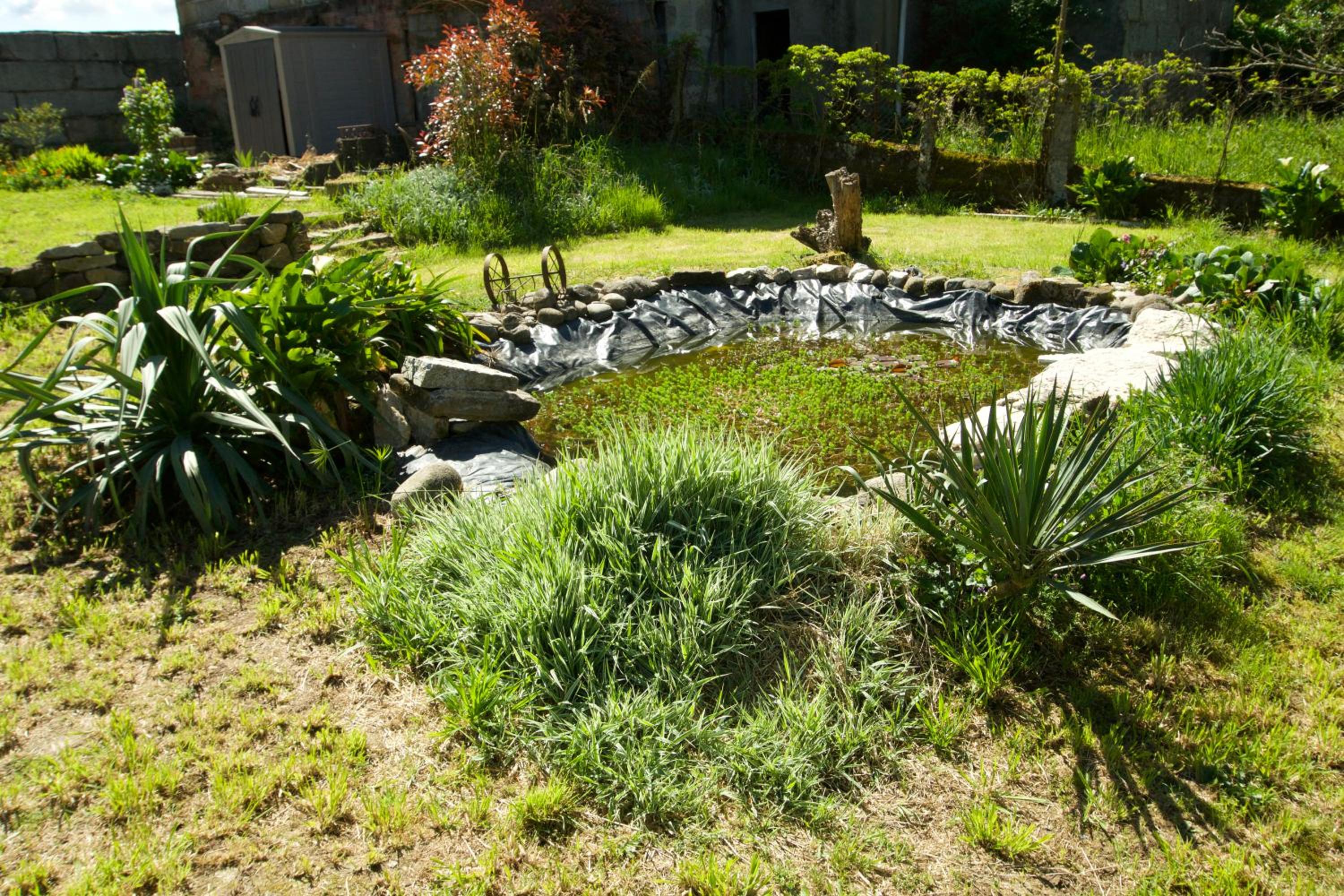 Photo 26