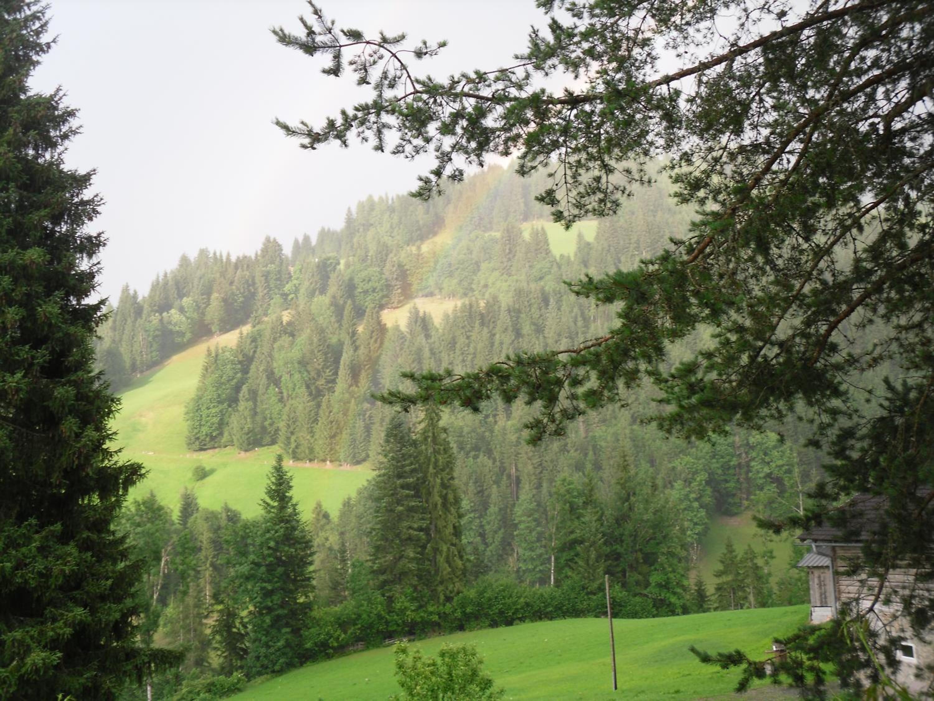 Vorderwiesgut