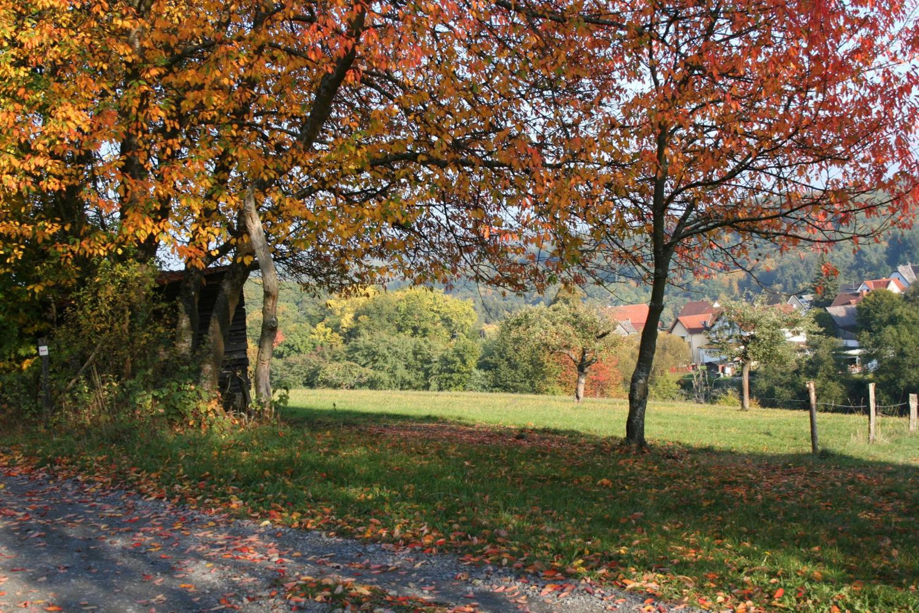 Ferienhaus Auszeit view 4