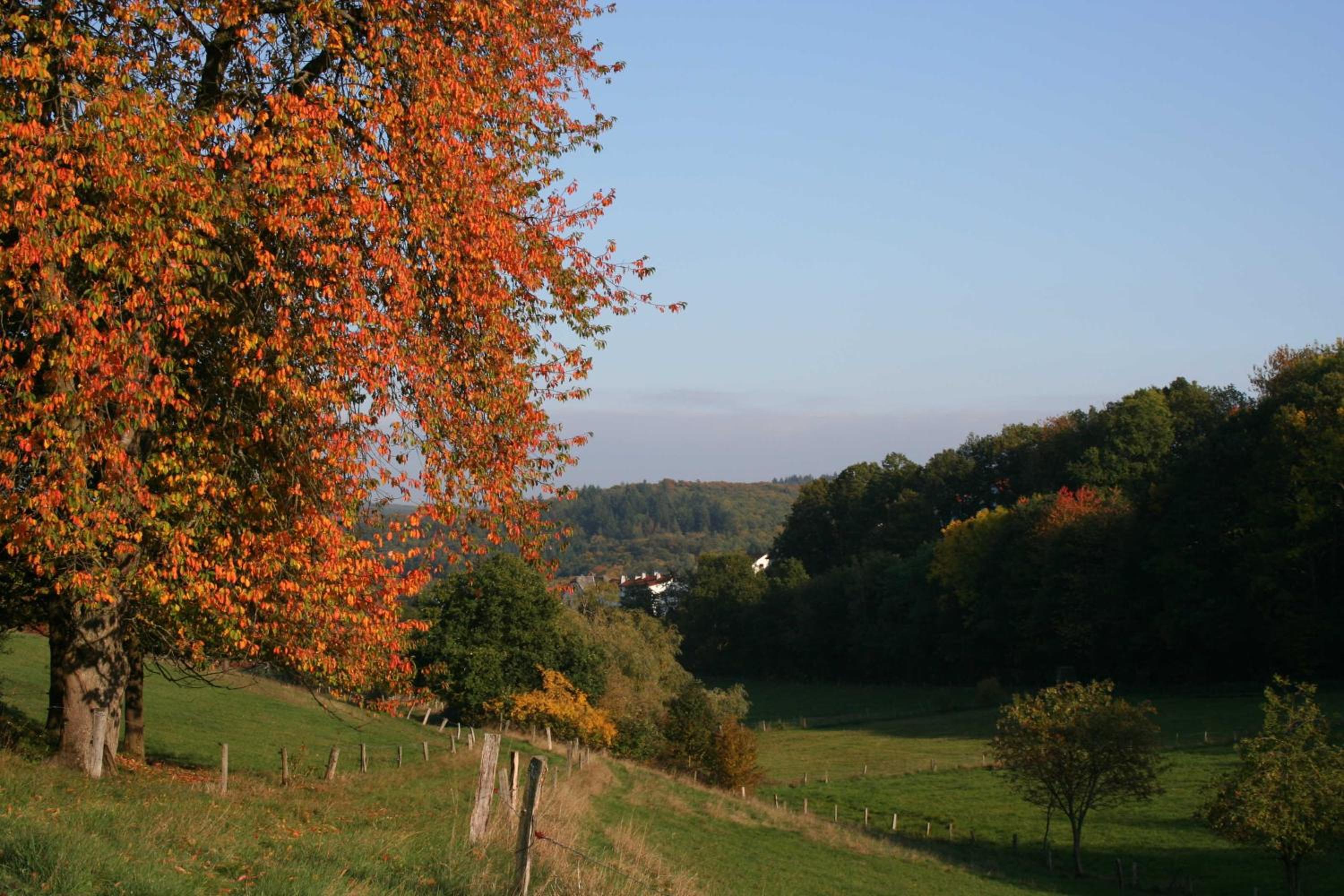 Ferienhaus Auszeit view 3