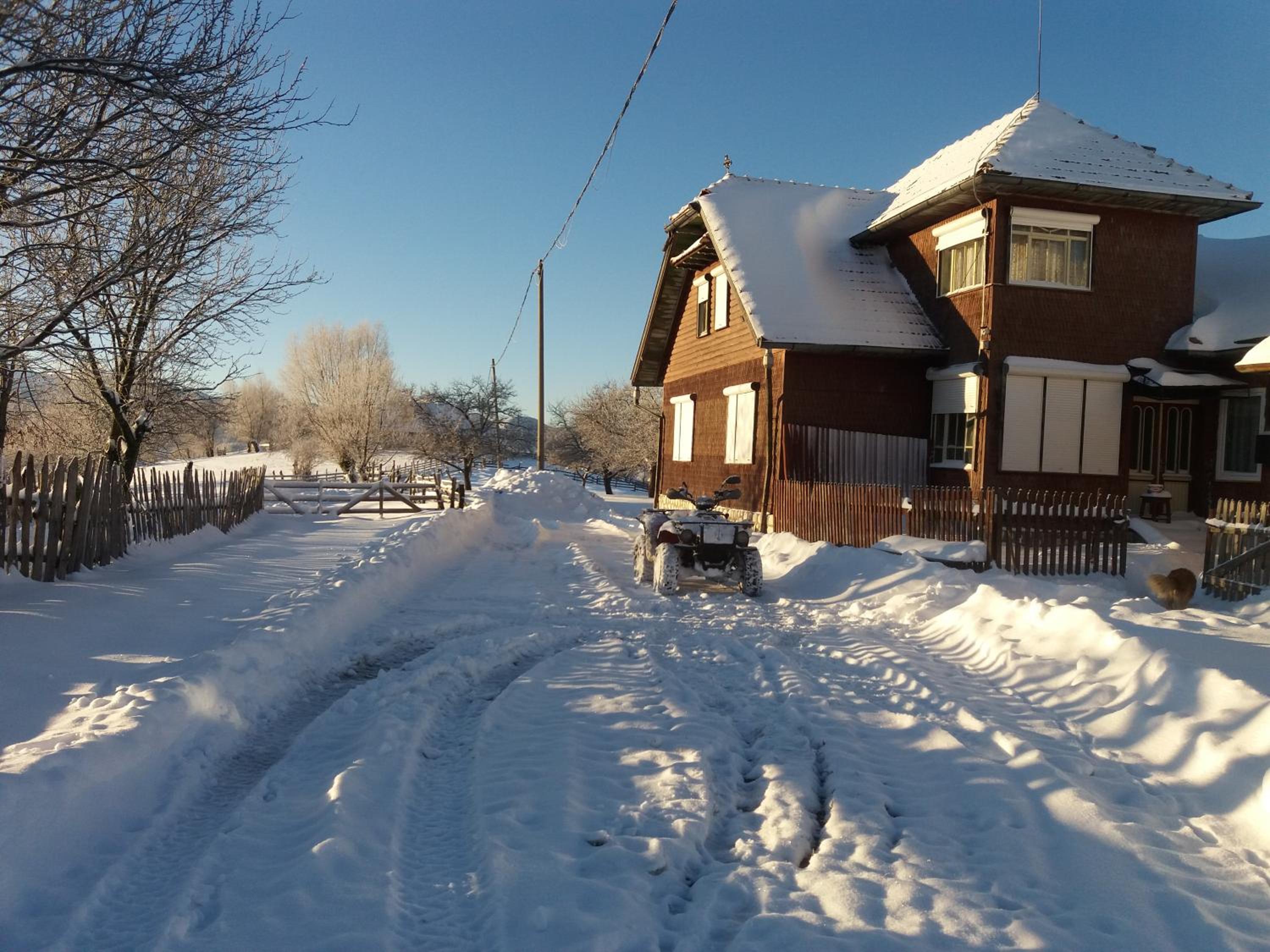 Photo 17