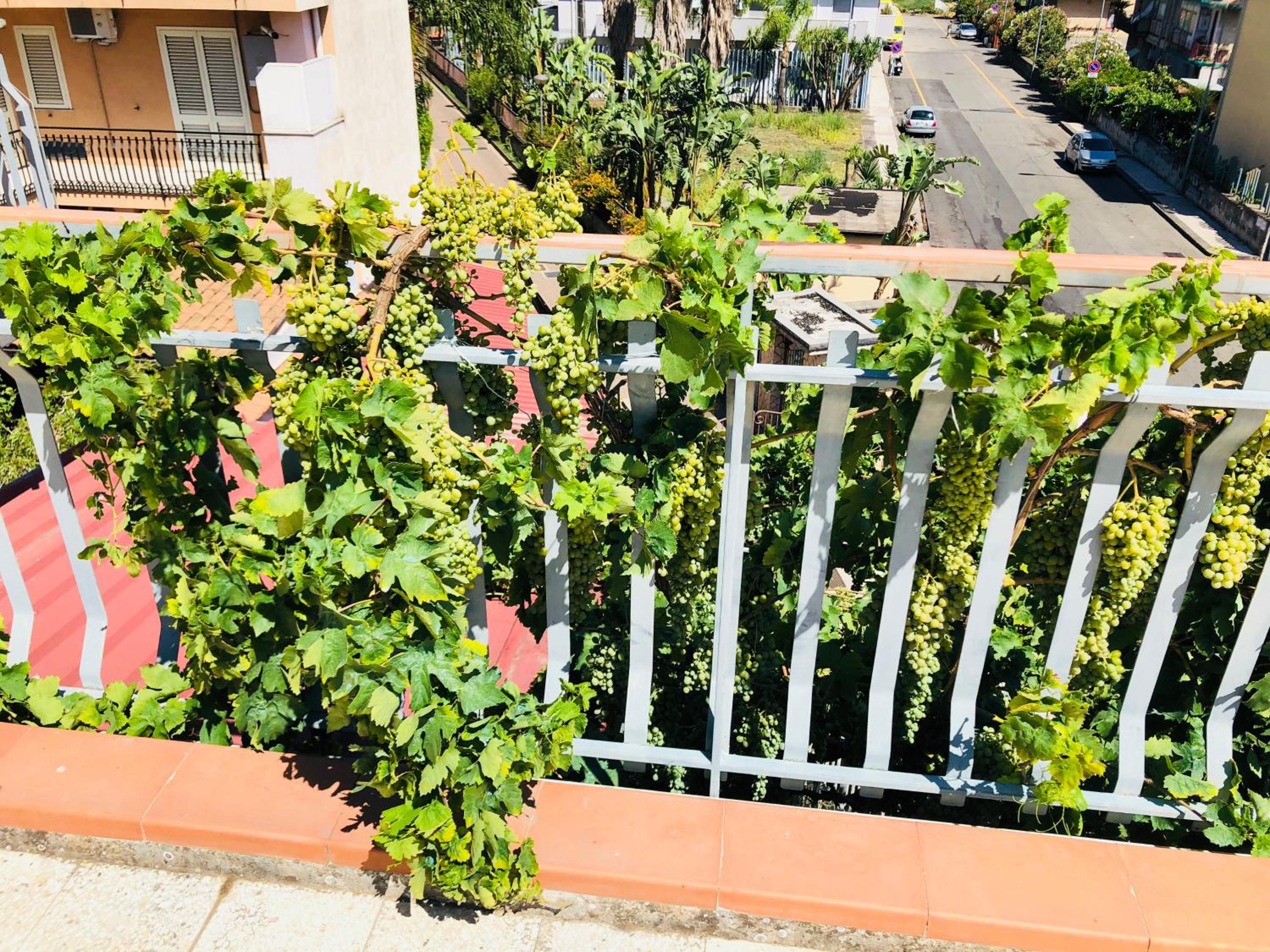 B&B Padre Pio view 3