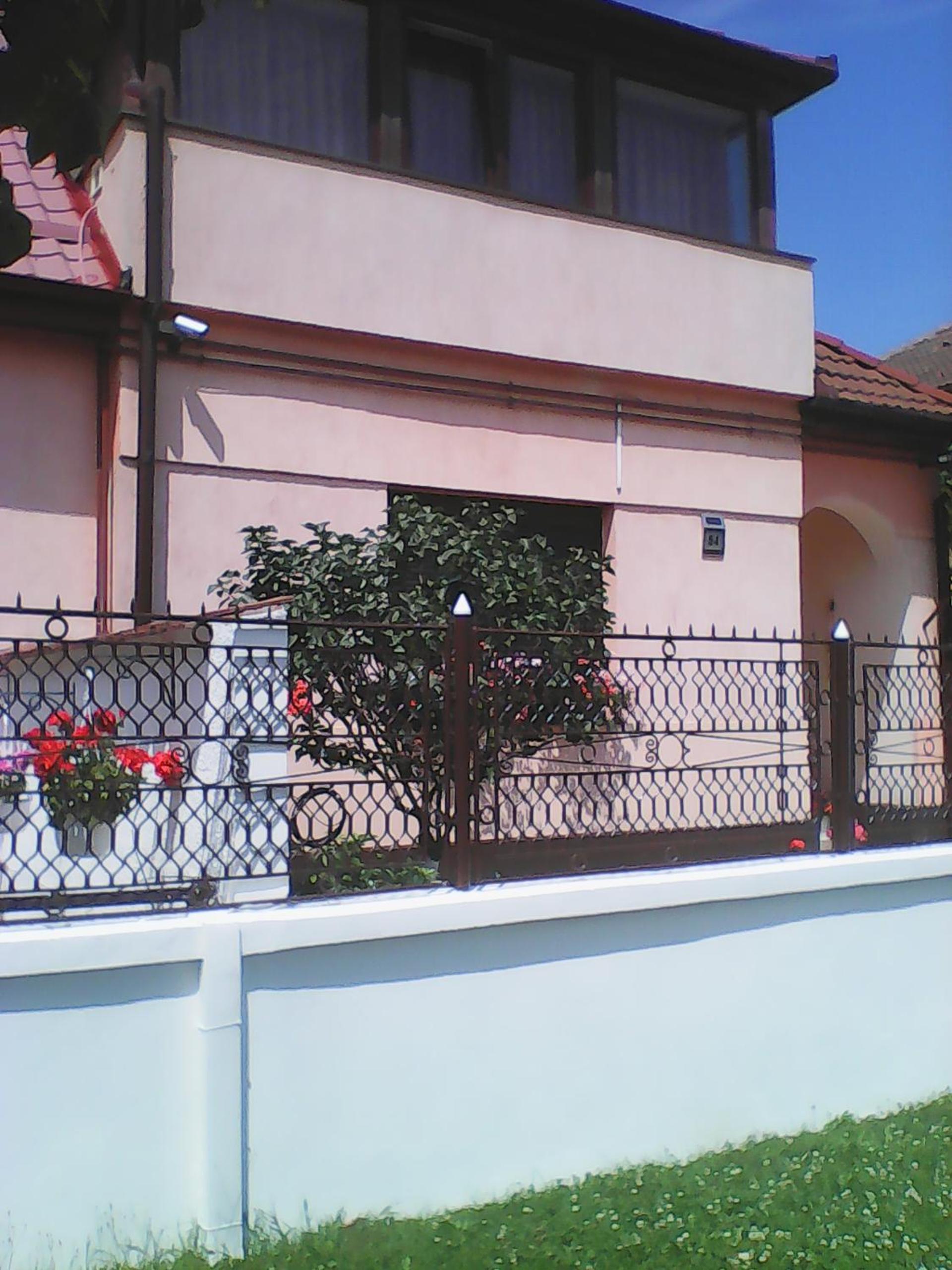 Photo 45