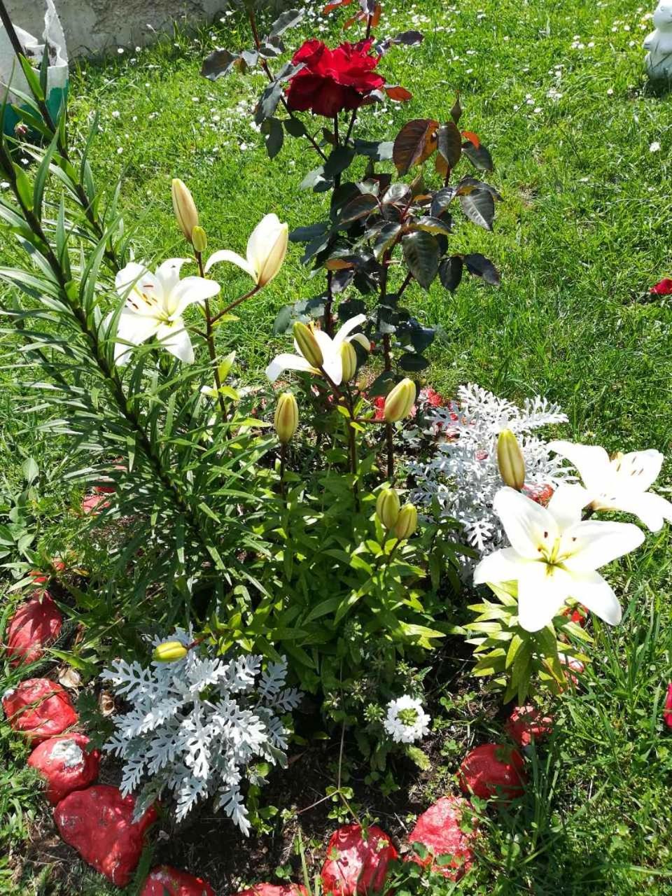 Photo 35