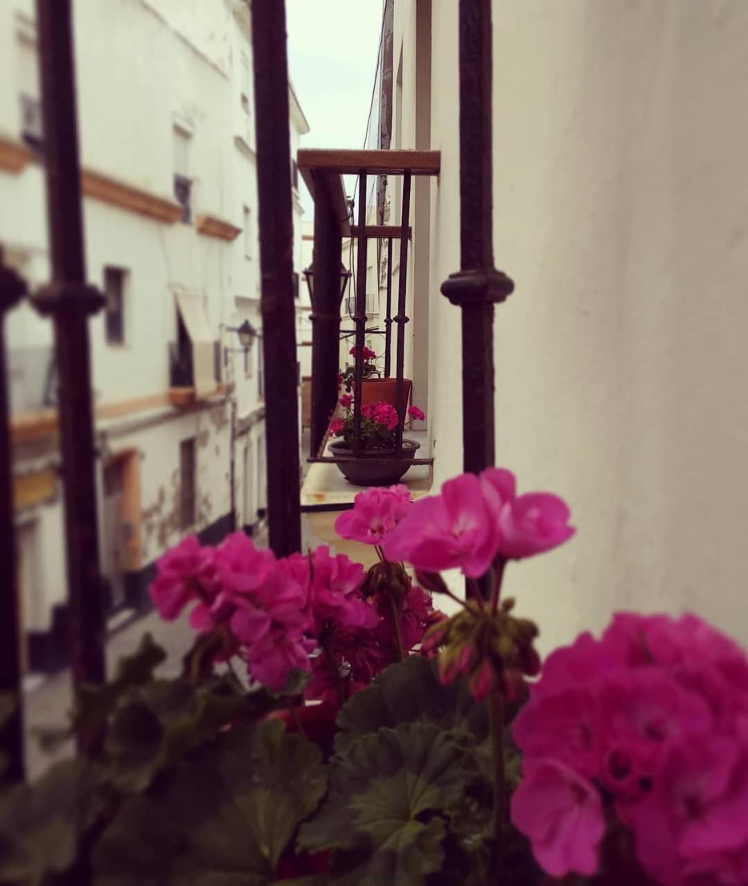 Photo 45