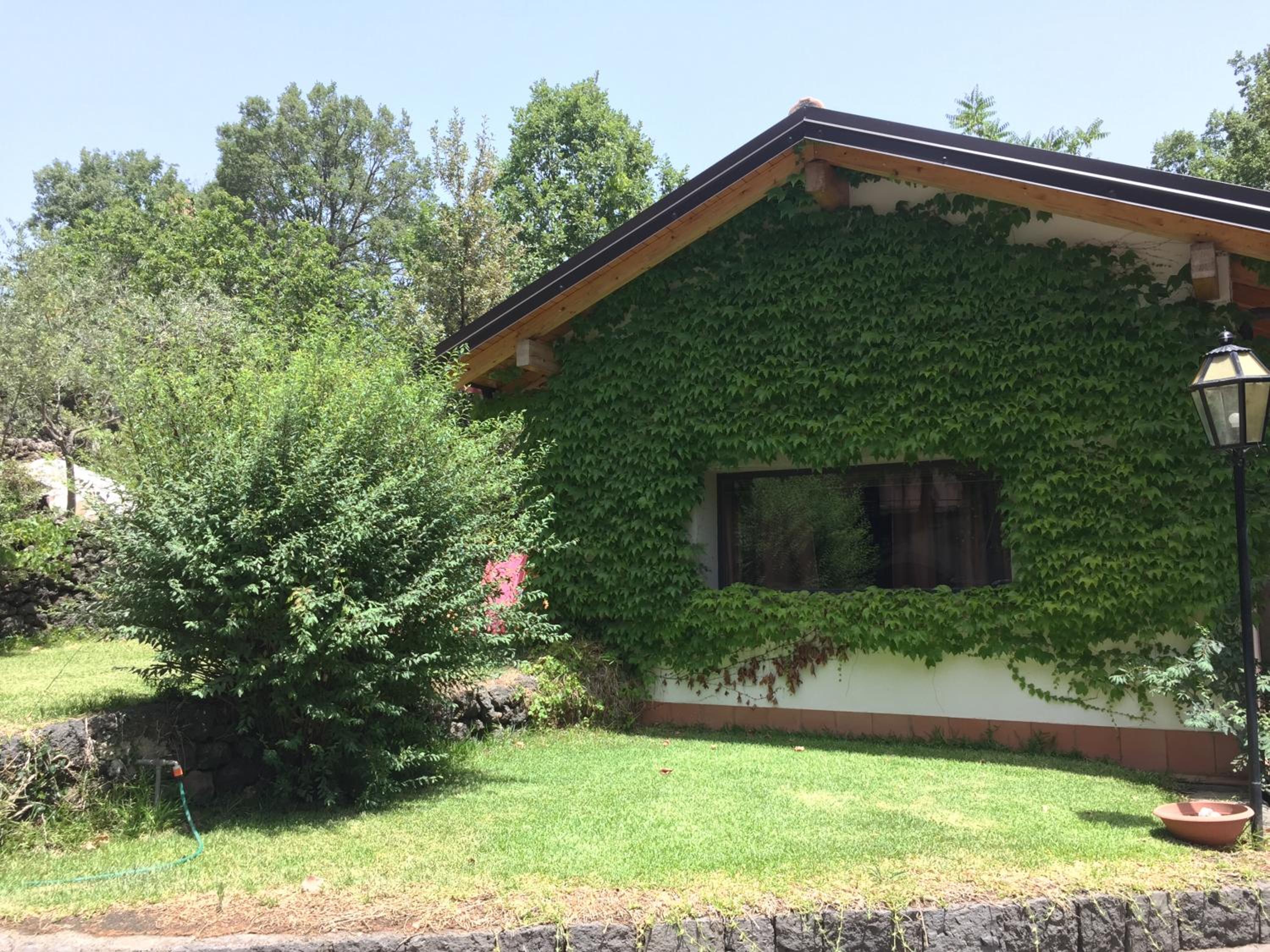 Domus Verdiana
