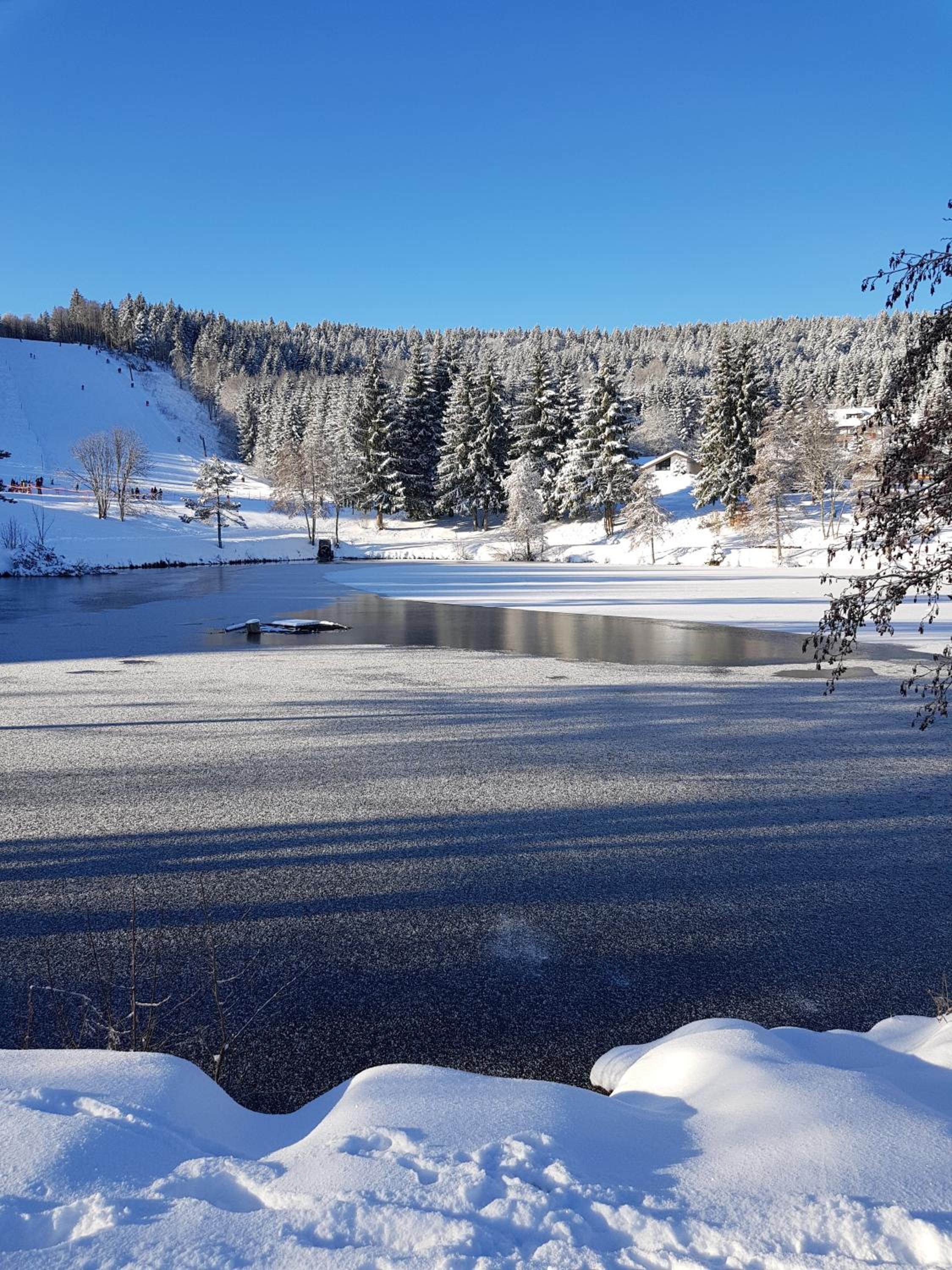 Jules Traum im Schwarzwald