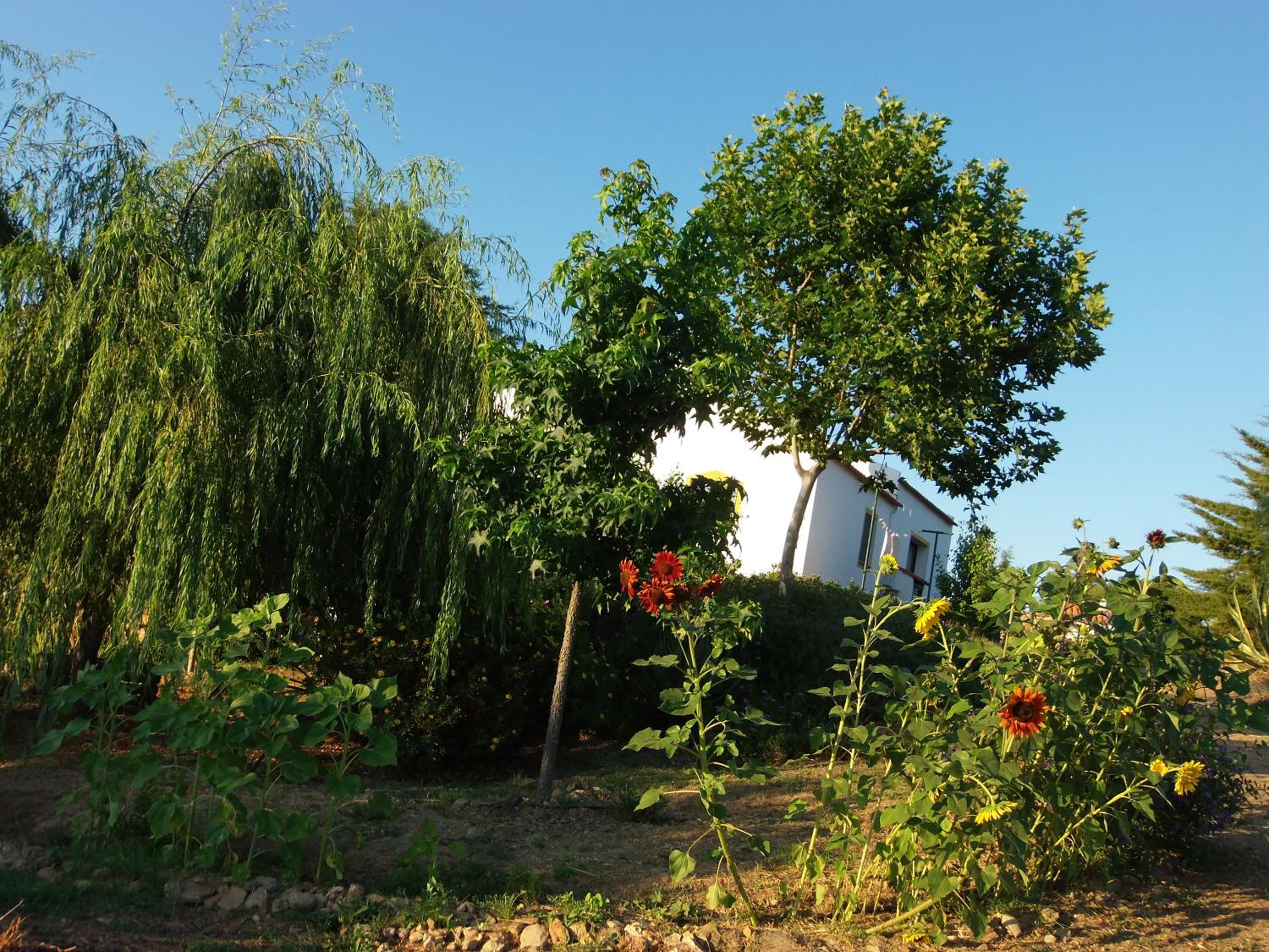 Photo 17