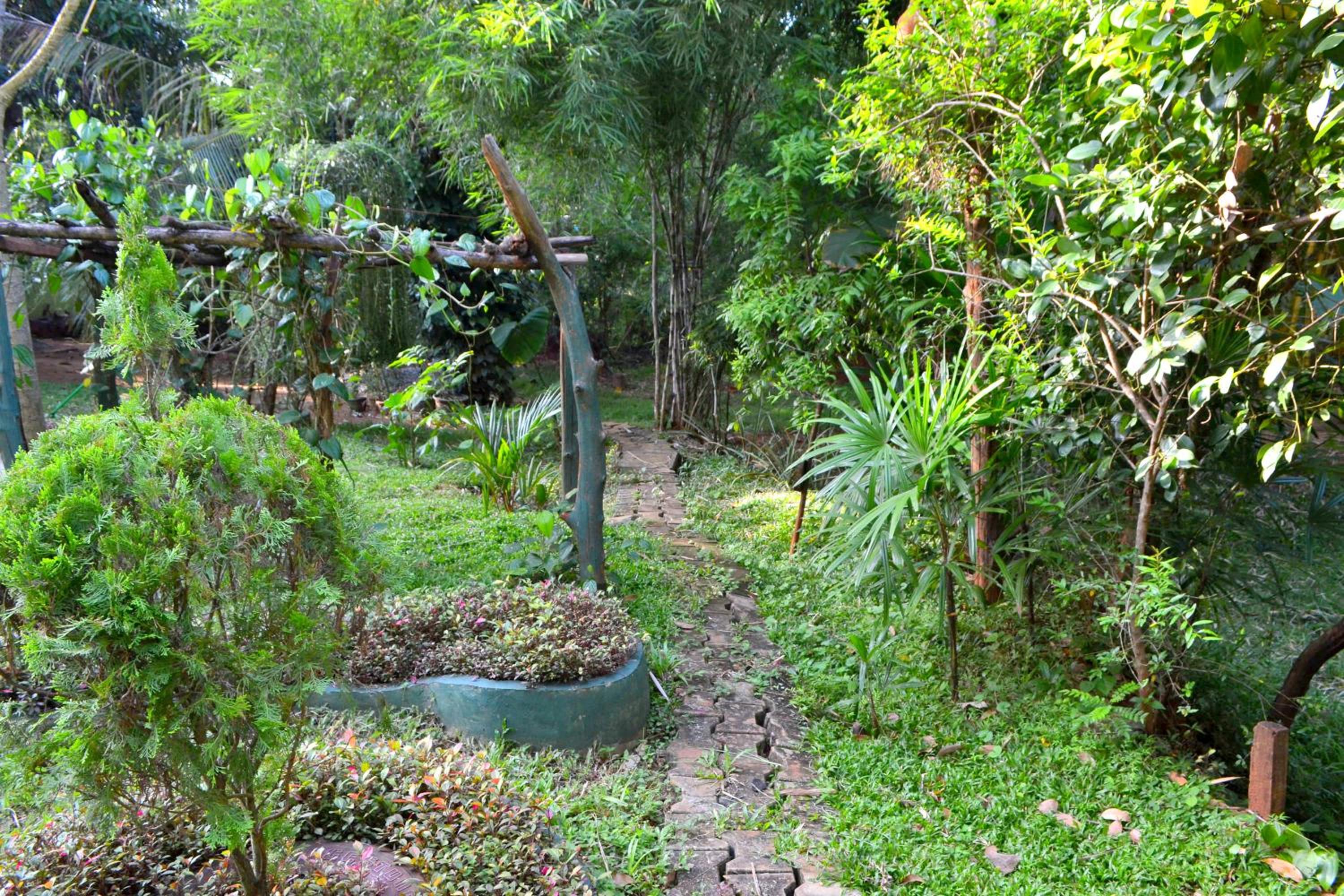 Photo 43