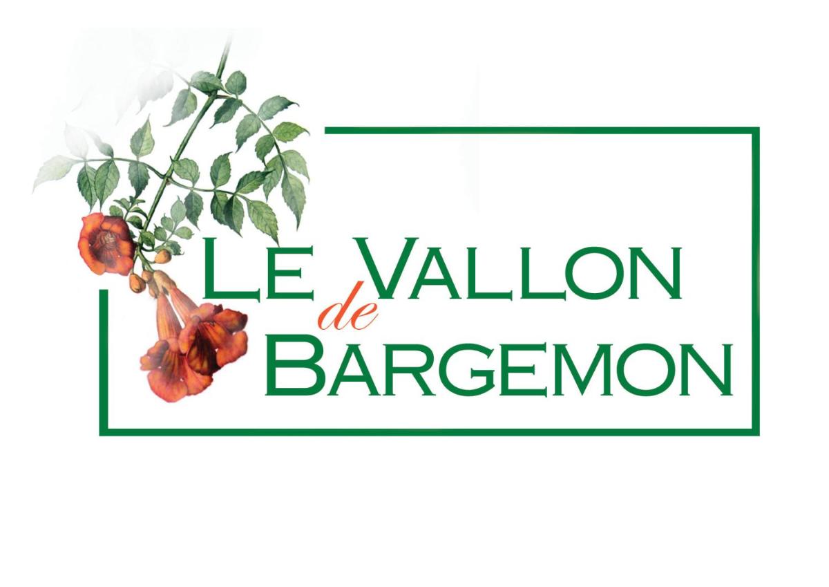 le vallon de bargemon view 3