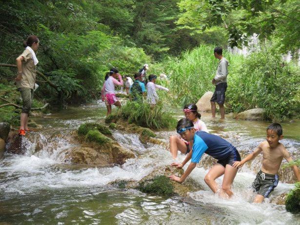 里や 糸島 川遊び Bbq 花火を楽しむ古民家1棟貸し, photo 17