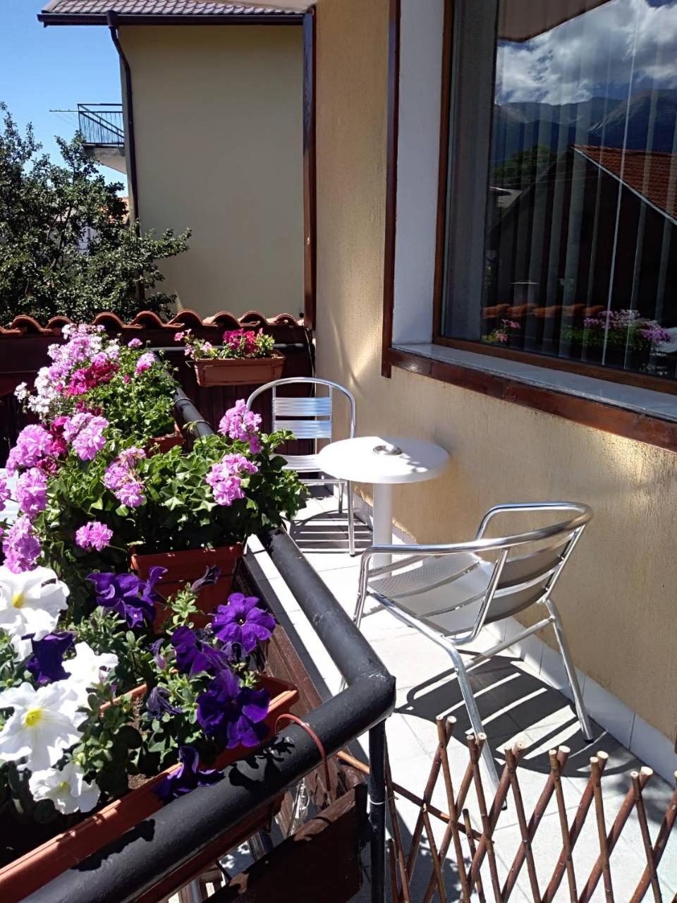 Guest House Planinski Zdravets