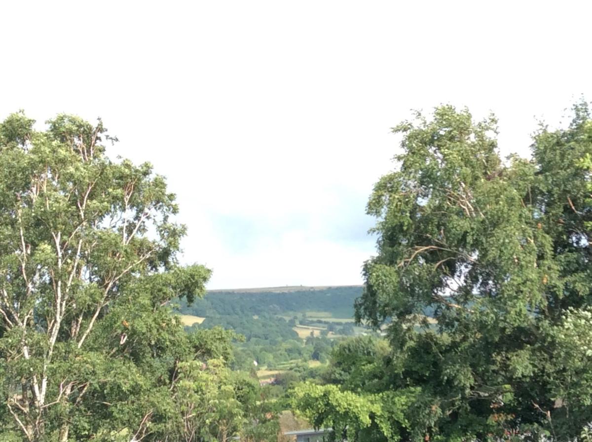 The Firs at Hay-on-Wye B&B 42