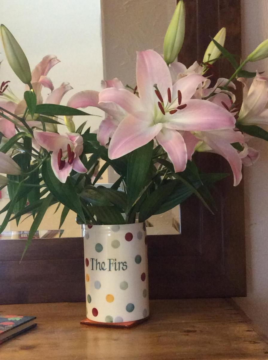 The Firs at Hay-on-Wye B&B 44