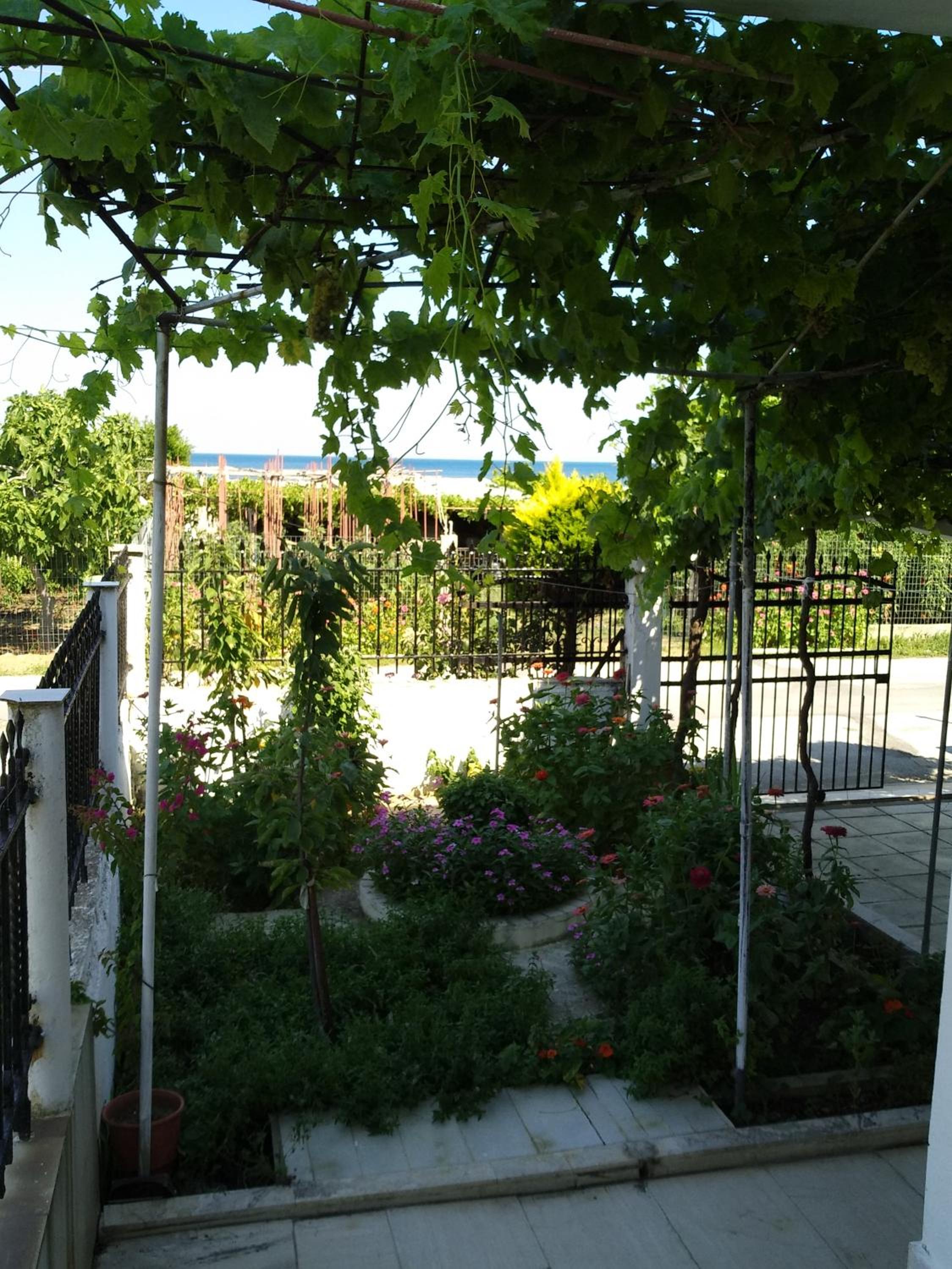 Photo 9