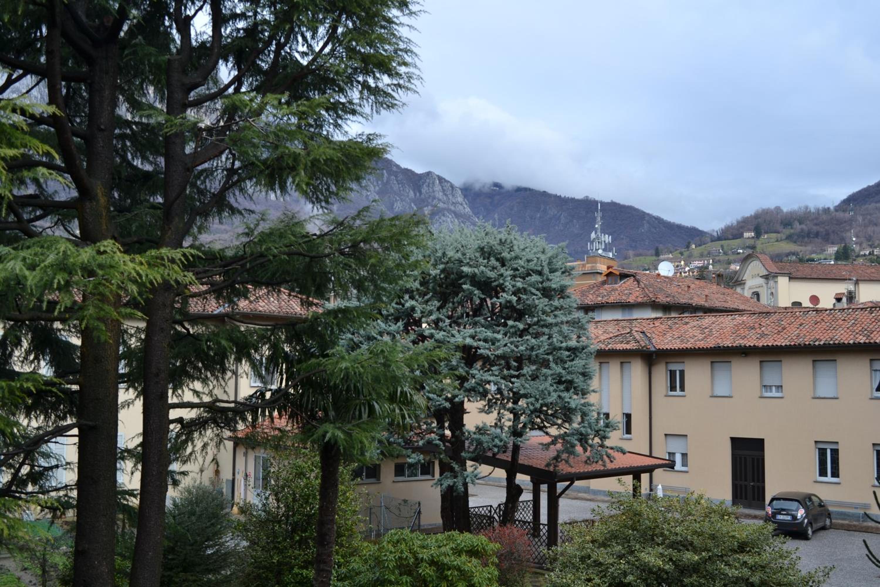 Casa del Cedro - Cedar House view 2