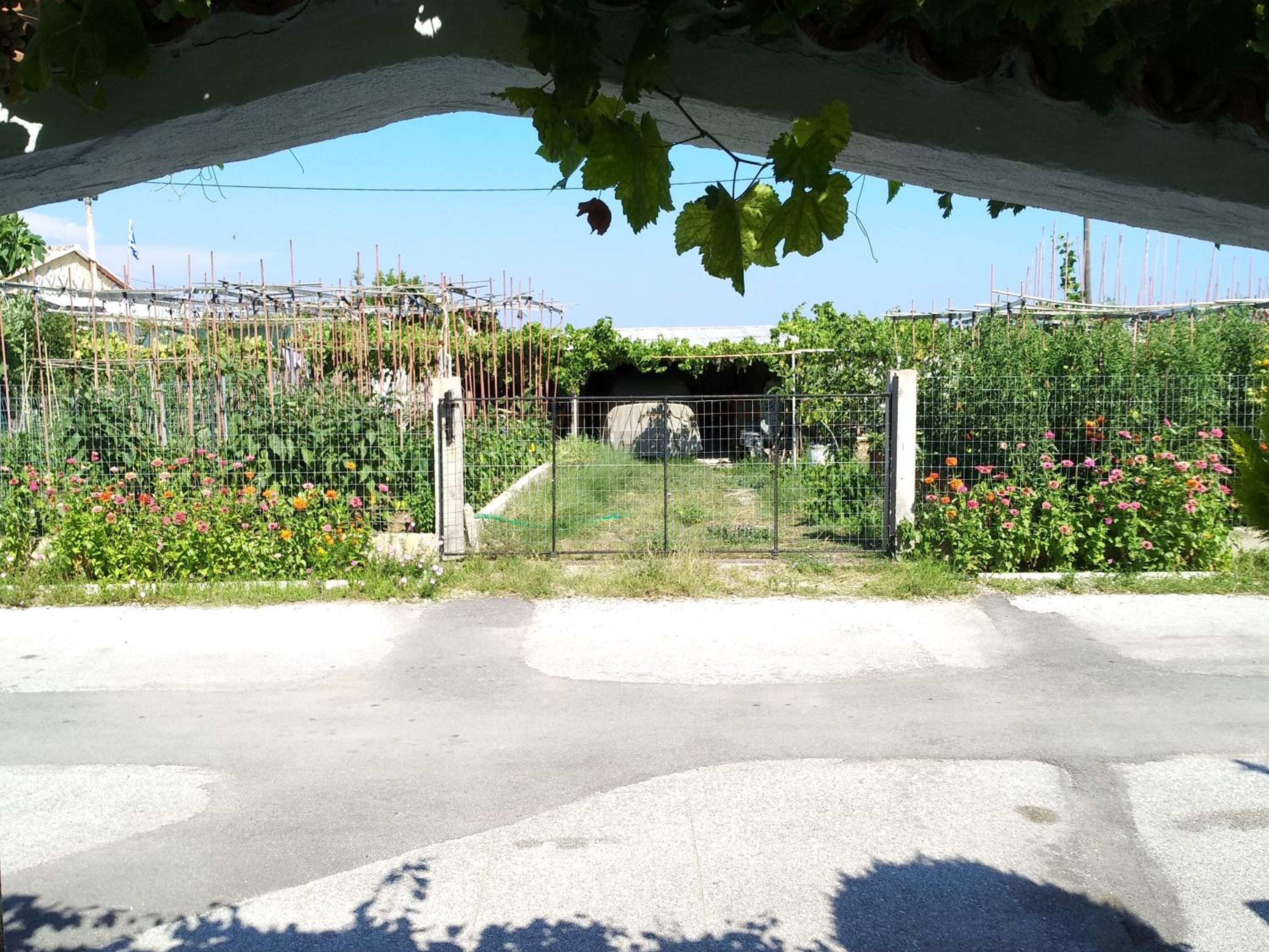 Photo 6