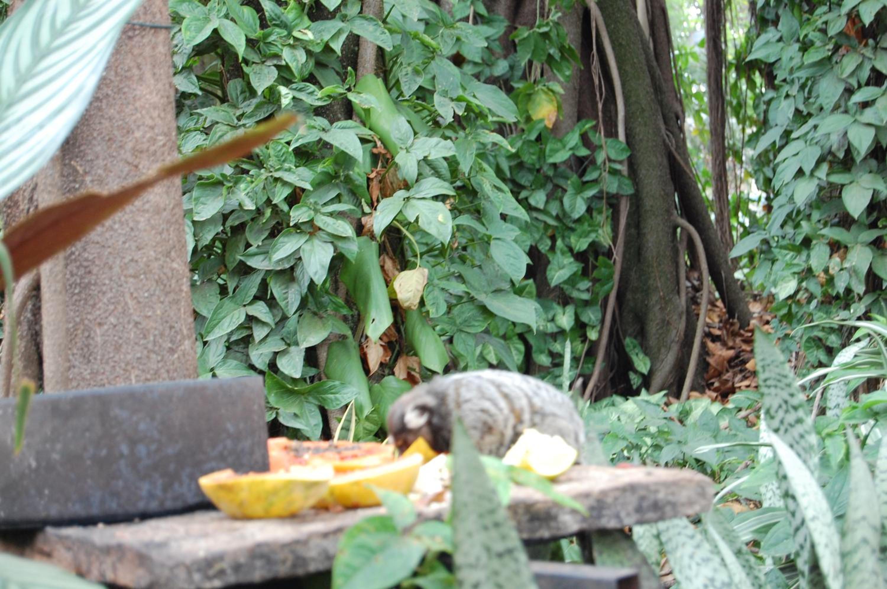 Photo 43