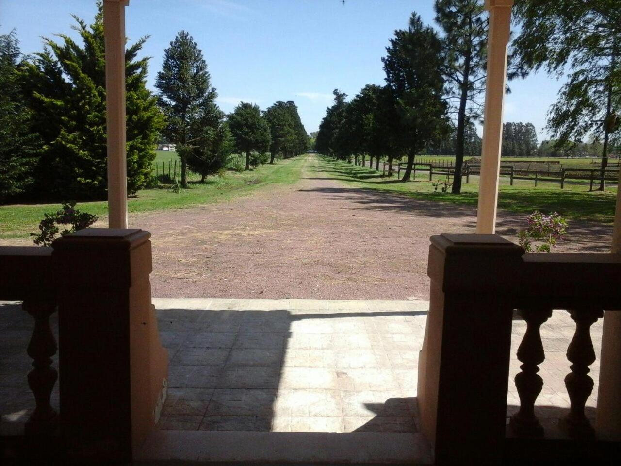 Casa Mansa Puro Campo