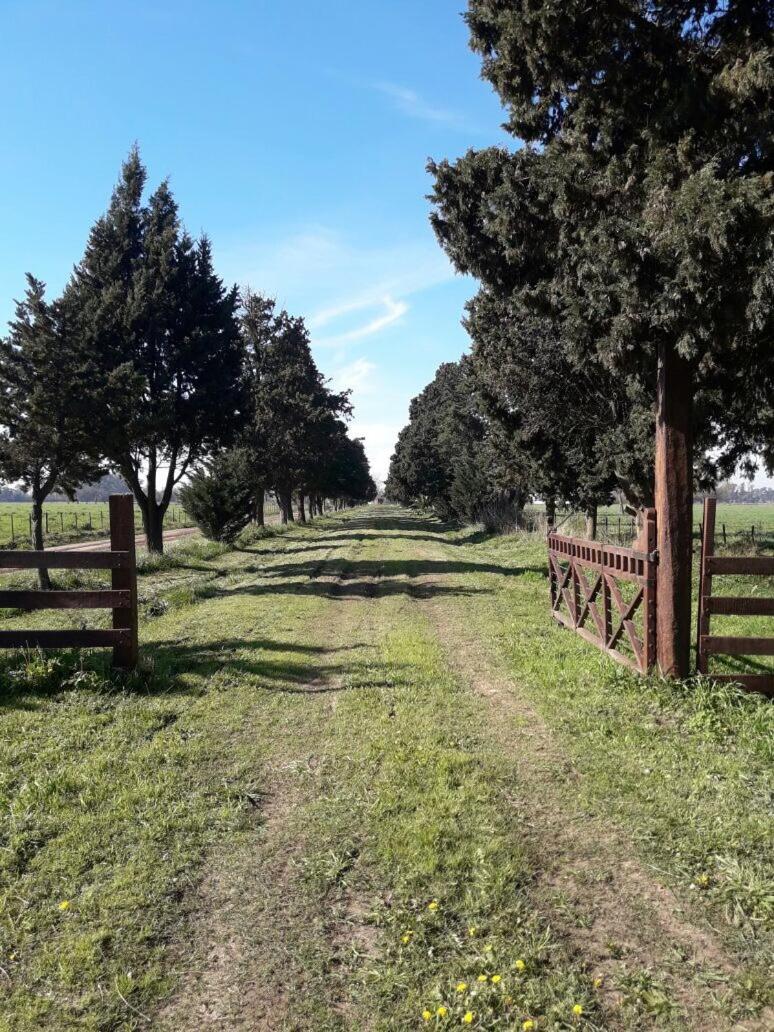 Casa Mansa Puro Campo