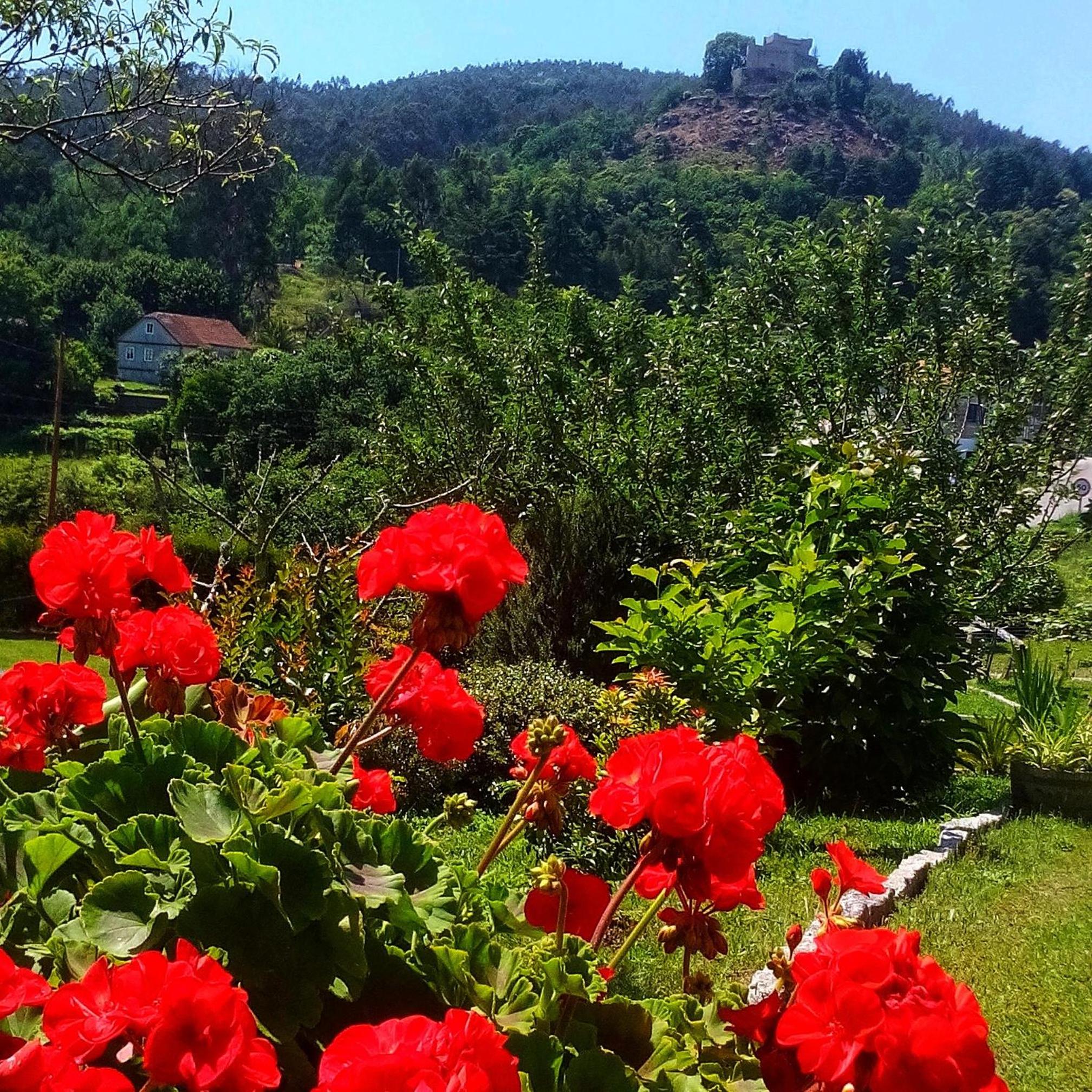 A Cantaruxa Maruxa Turismo Rural