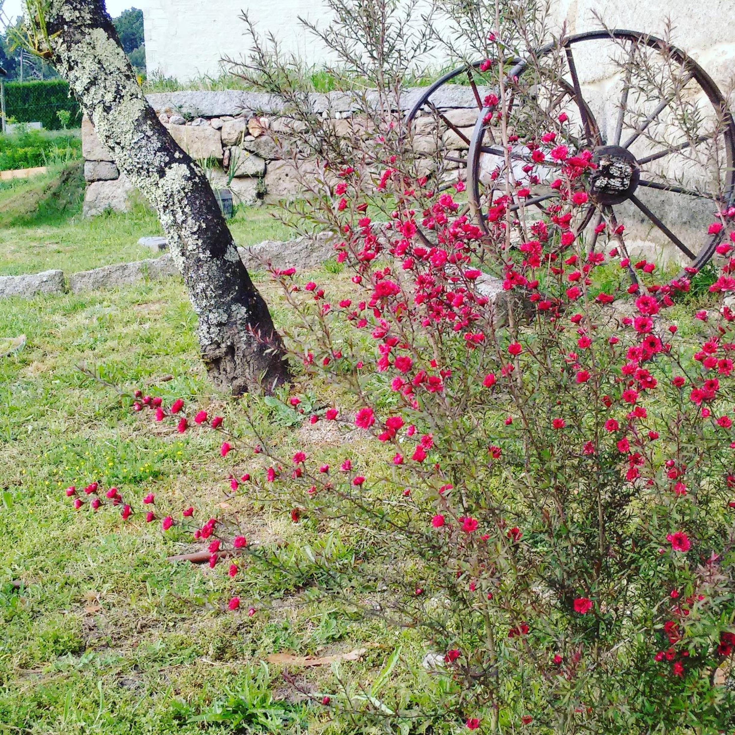 A Cantaruxa Maruxa Turismo Rural