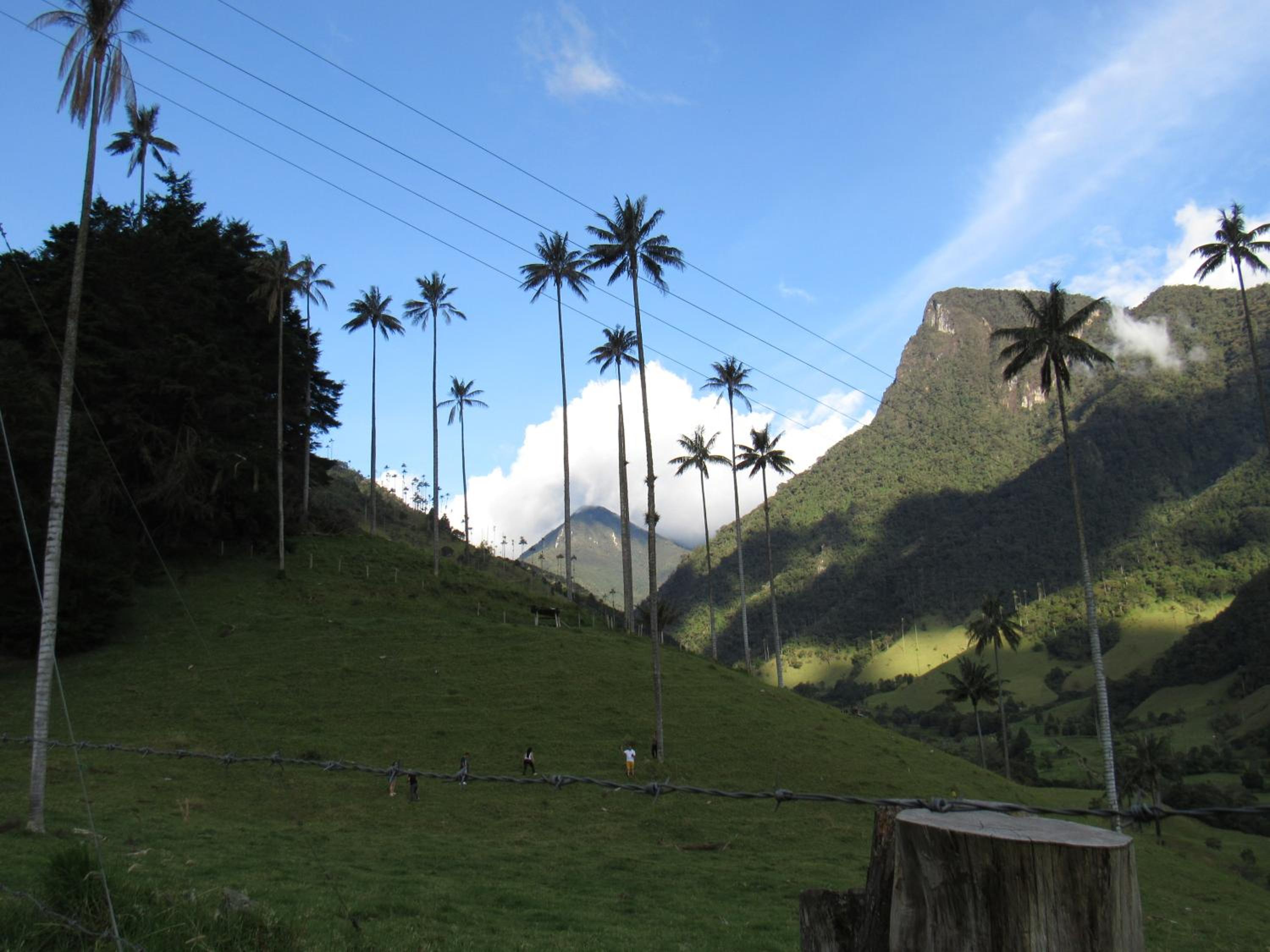 Casa Campo Valle De Cocora