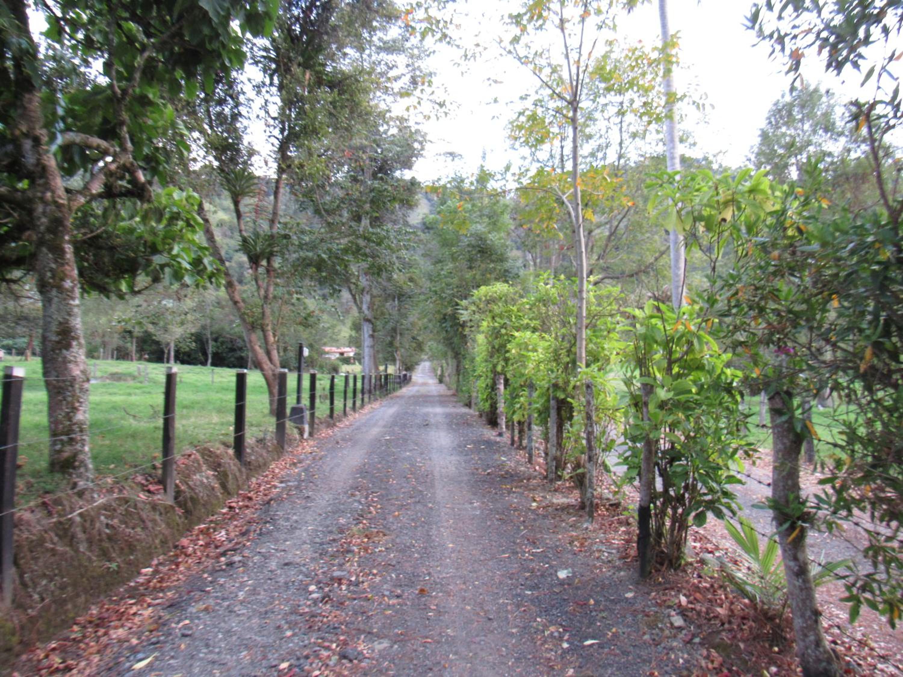 Casa Campo Valle De Cocora