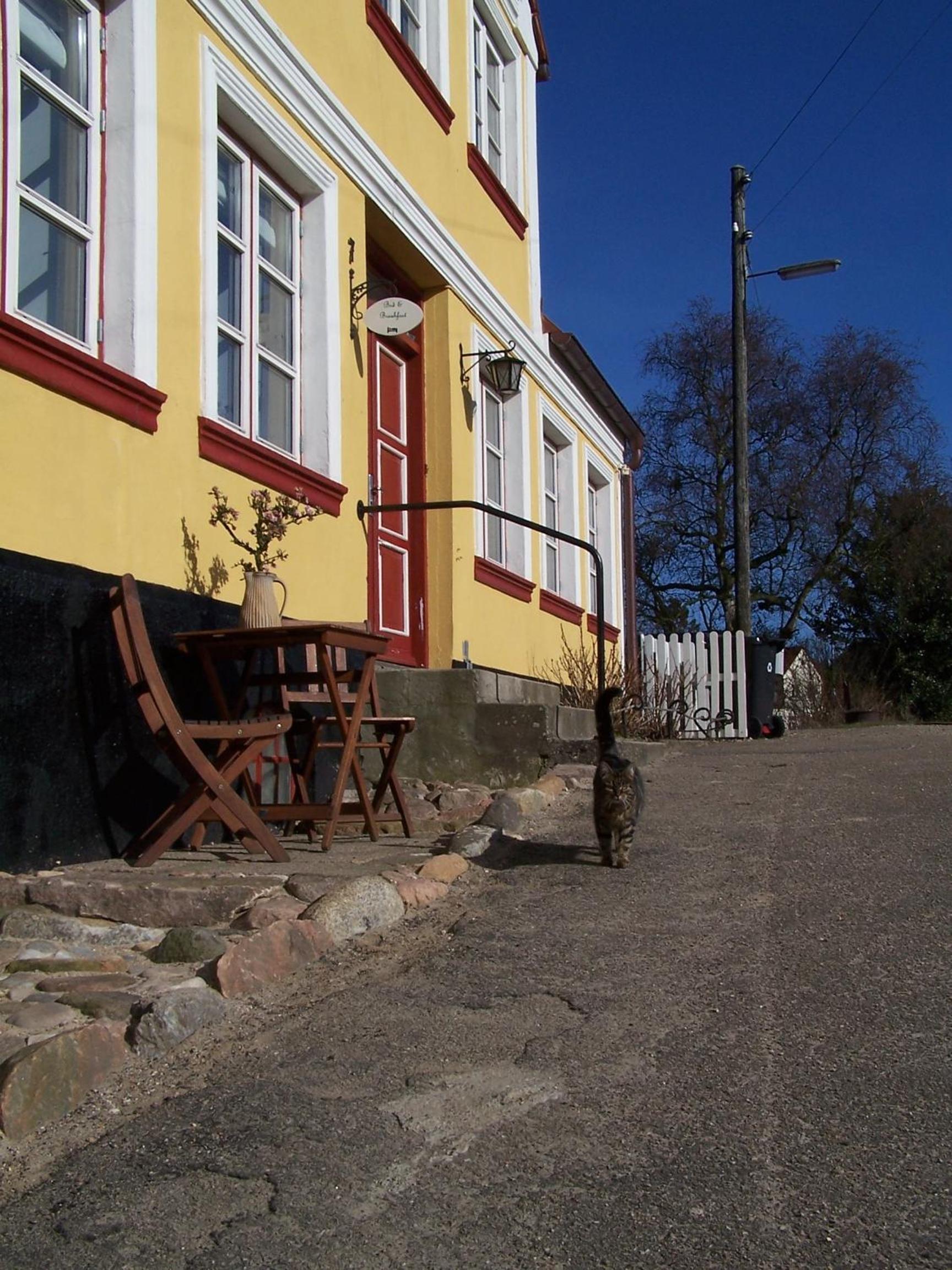 Photo 42