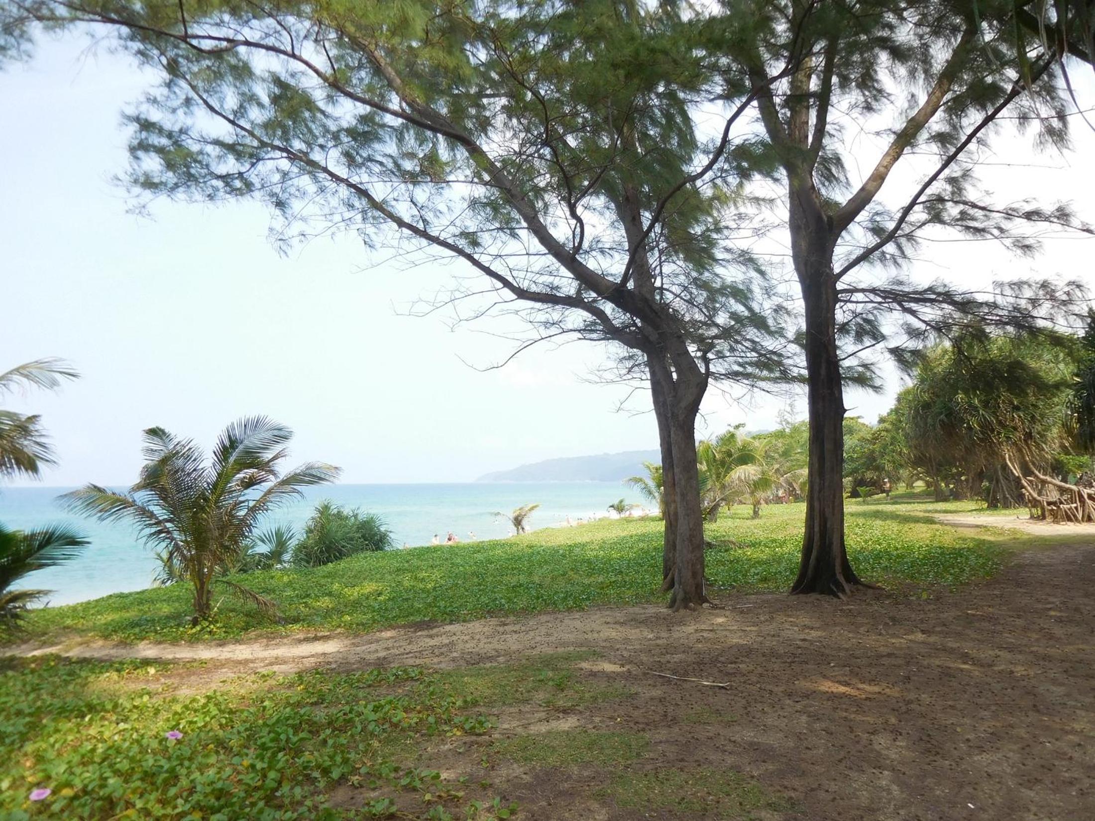 Photo 44