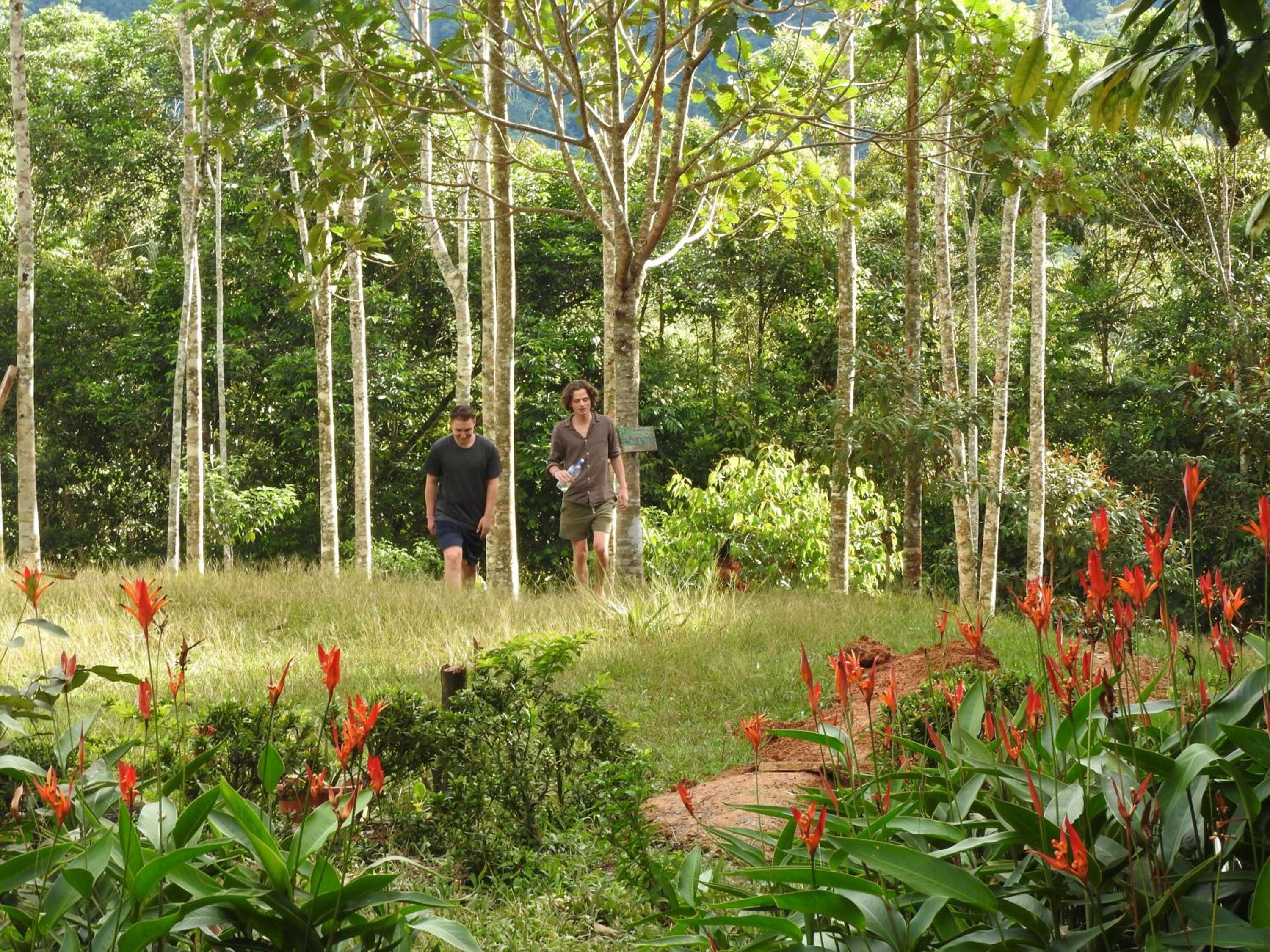 human