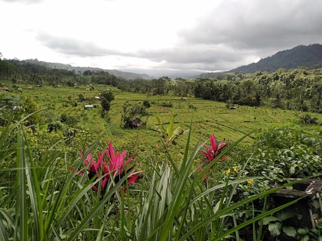Pondok Indah Homestay view 3