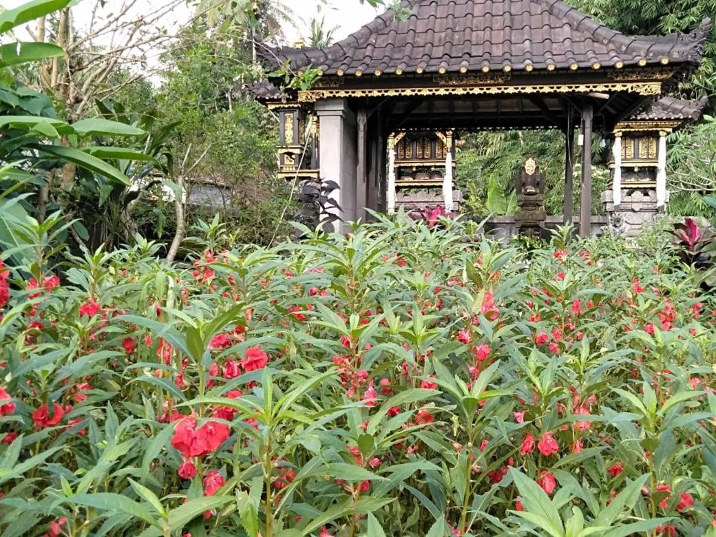 Pondok Indah Homestay view 4