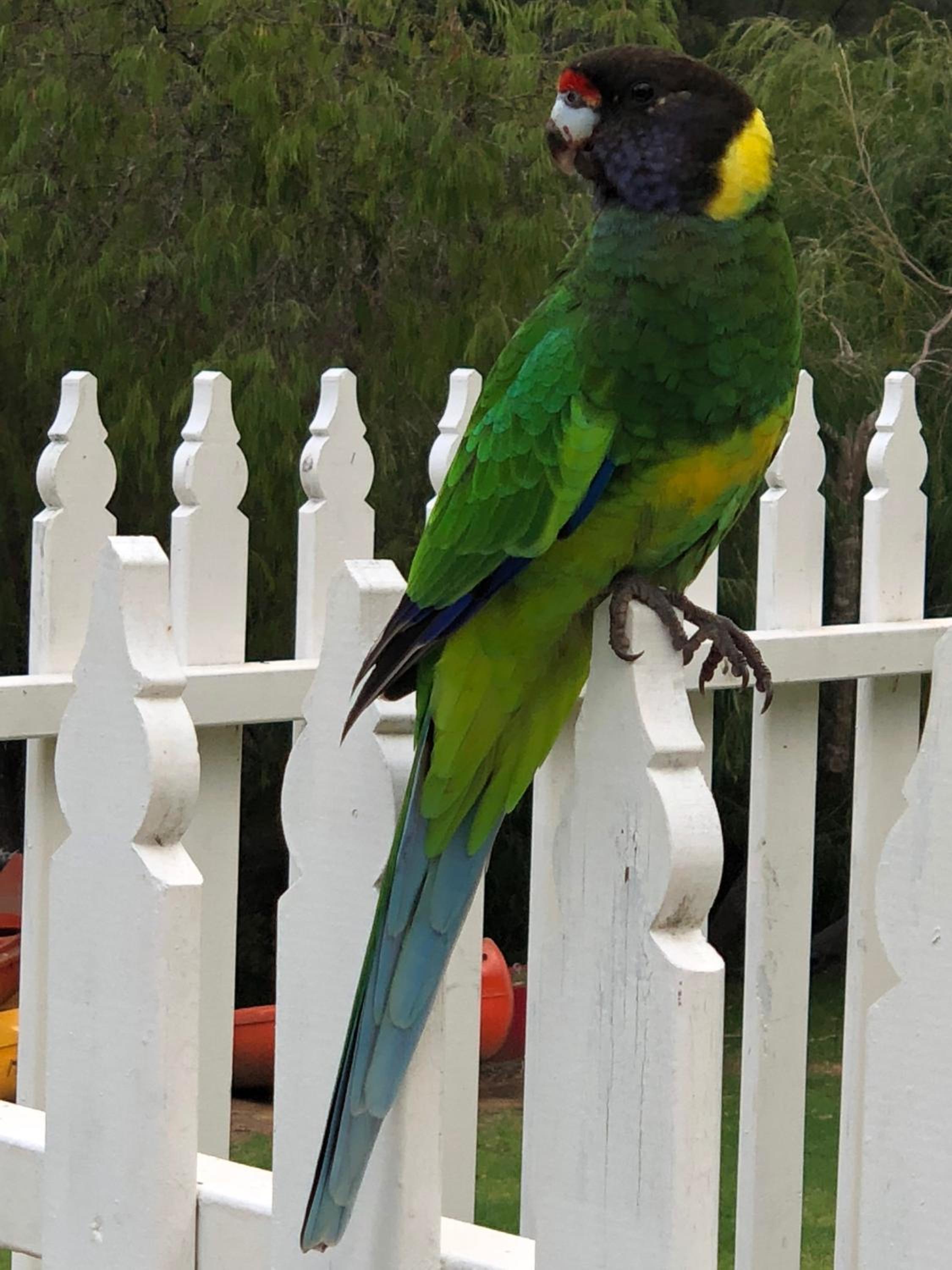 Riverview Tourist Park