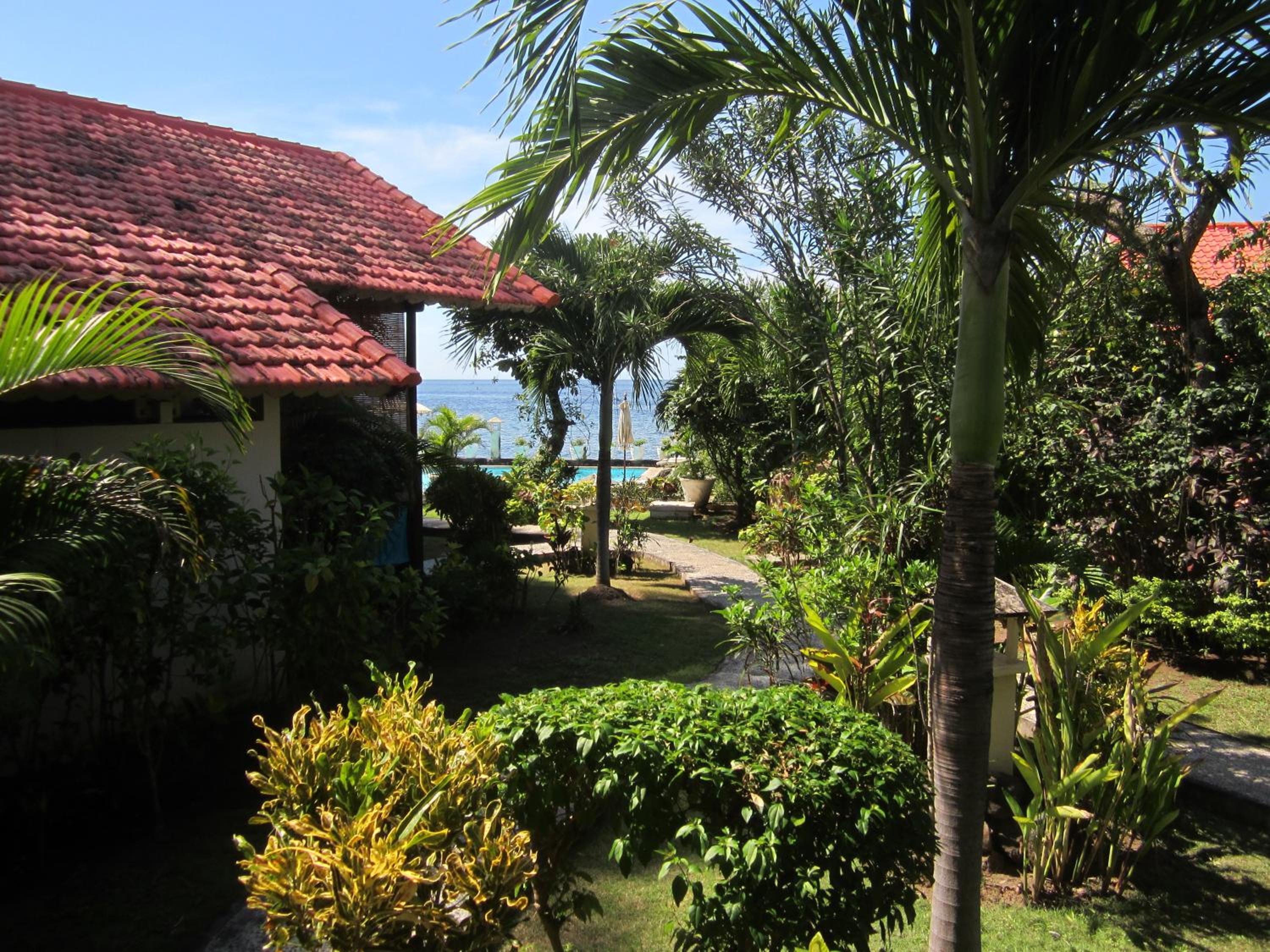 Photo 16
