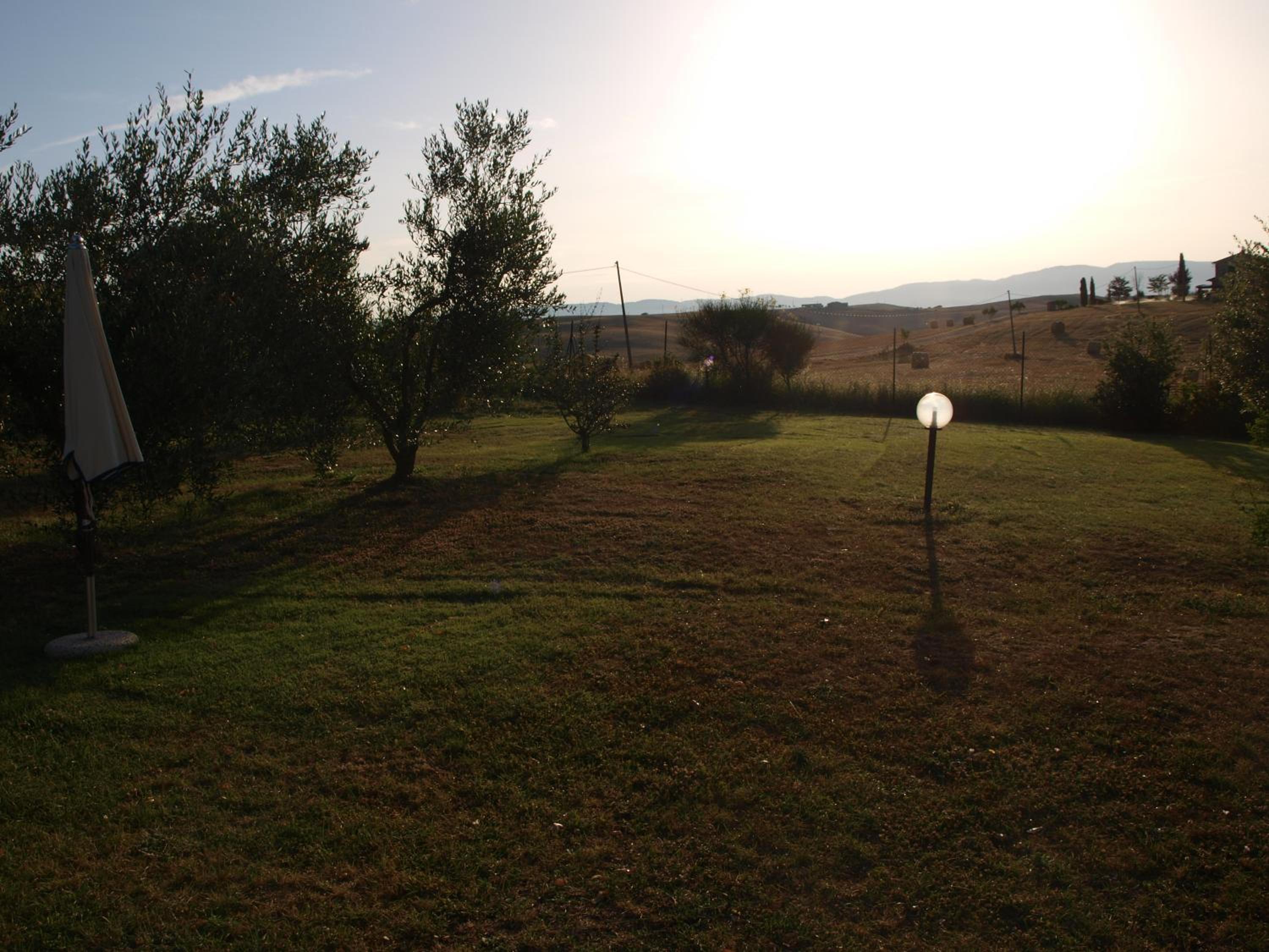 Photo 31