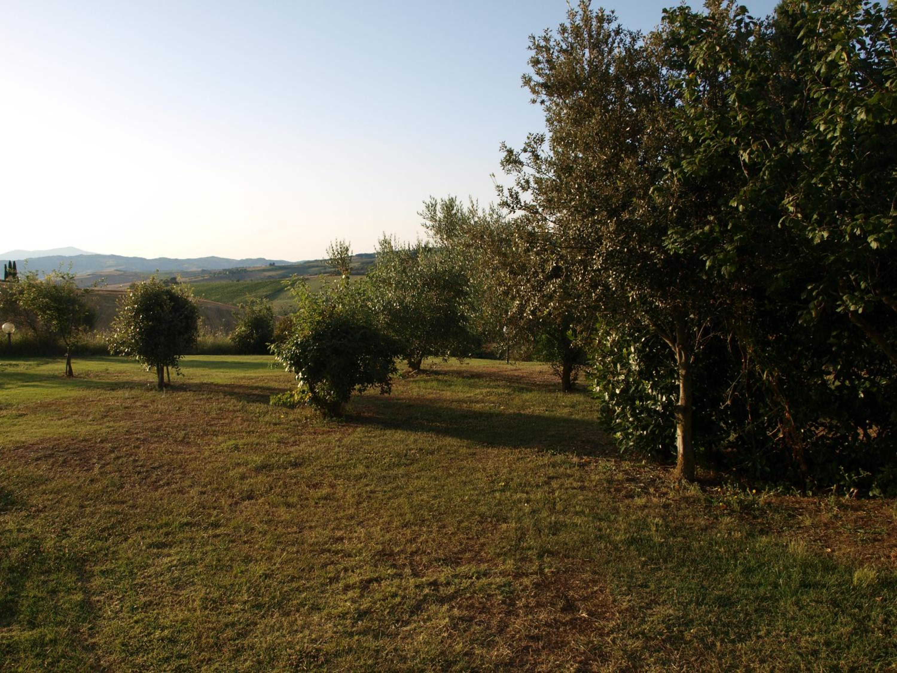 Photo 32