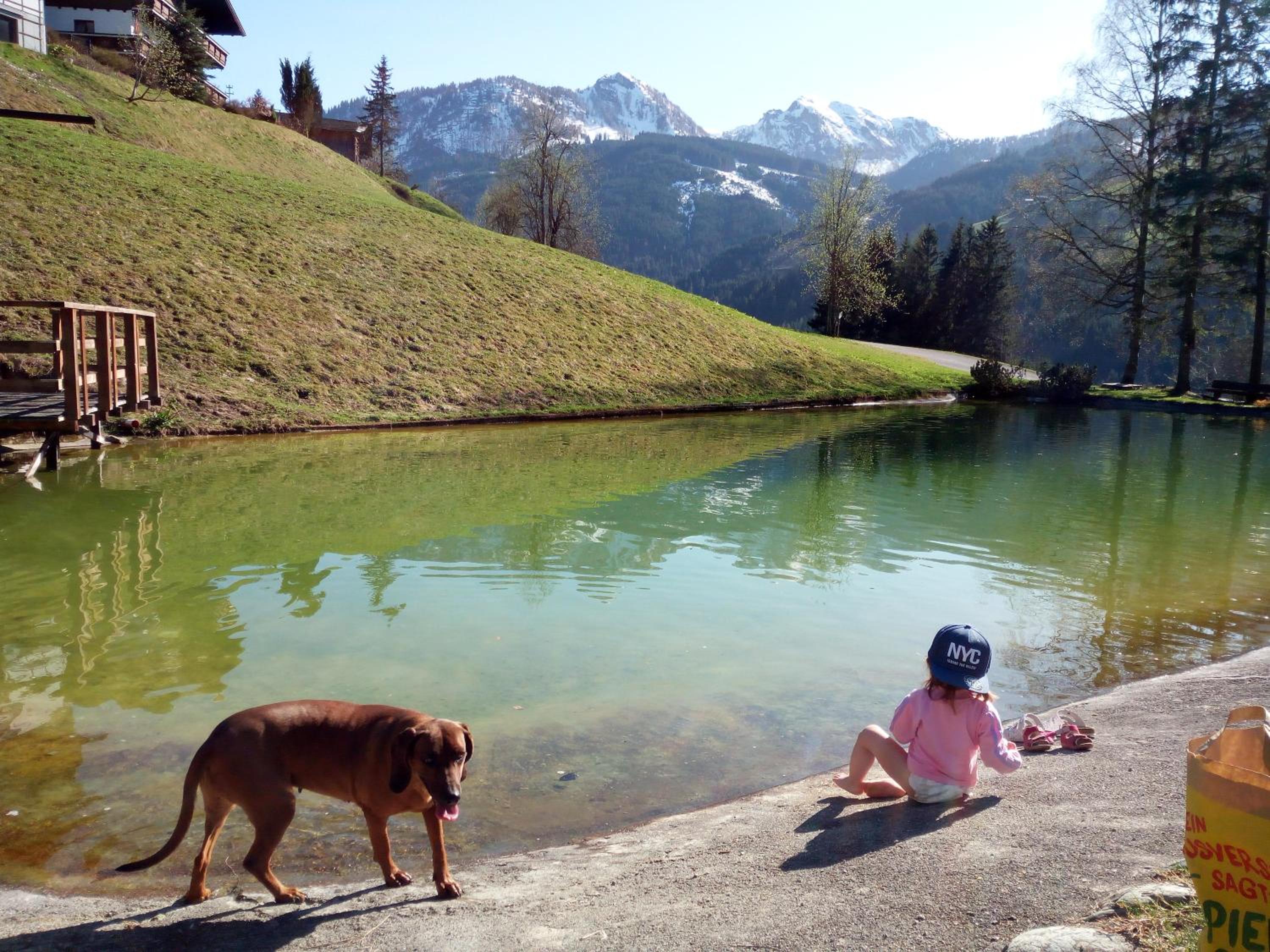 Pension Chalet Bergseegut