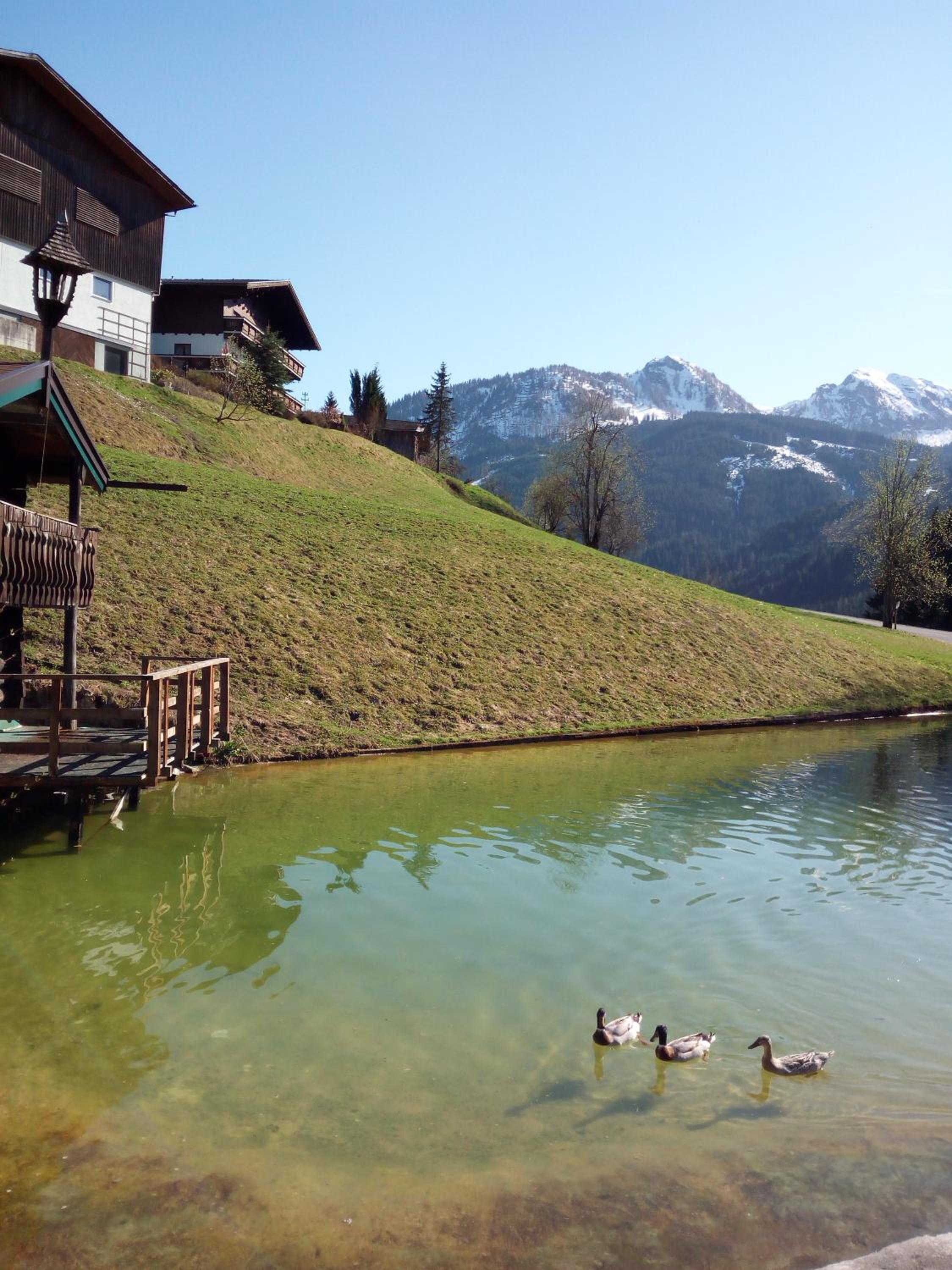 Pension Chalet Bergseegut