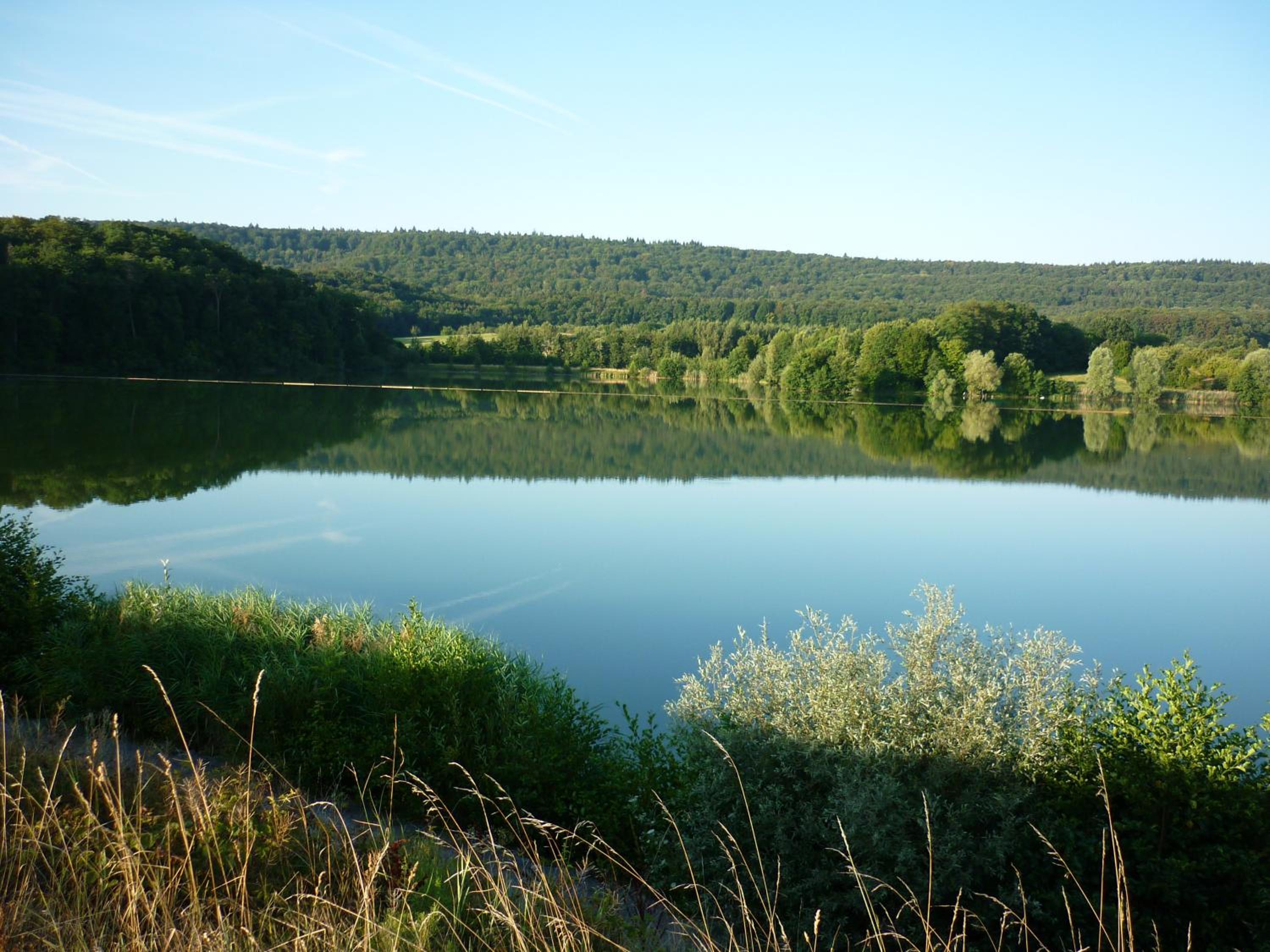 Photo 41