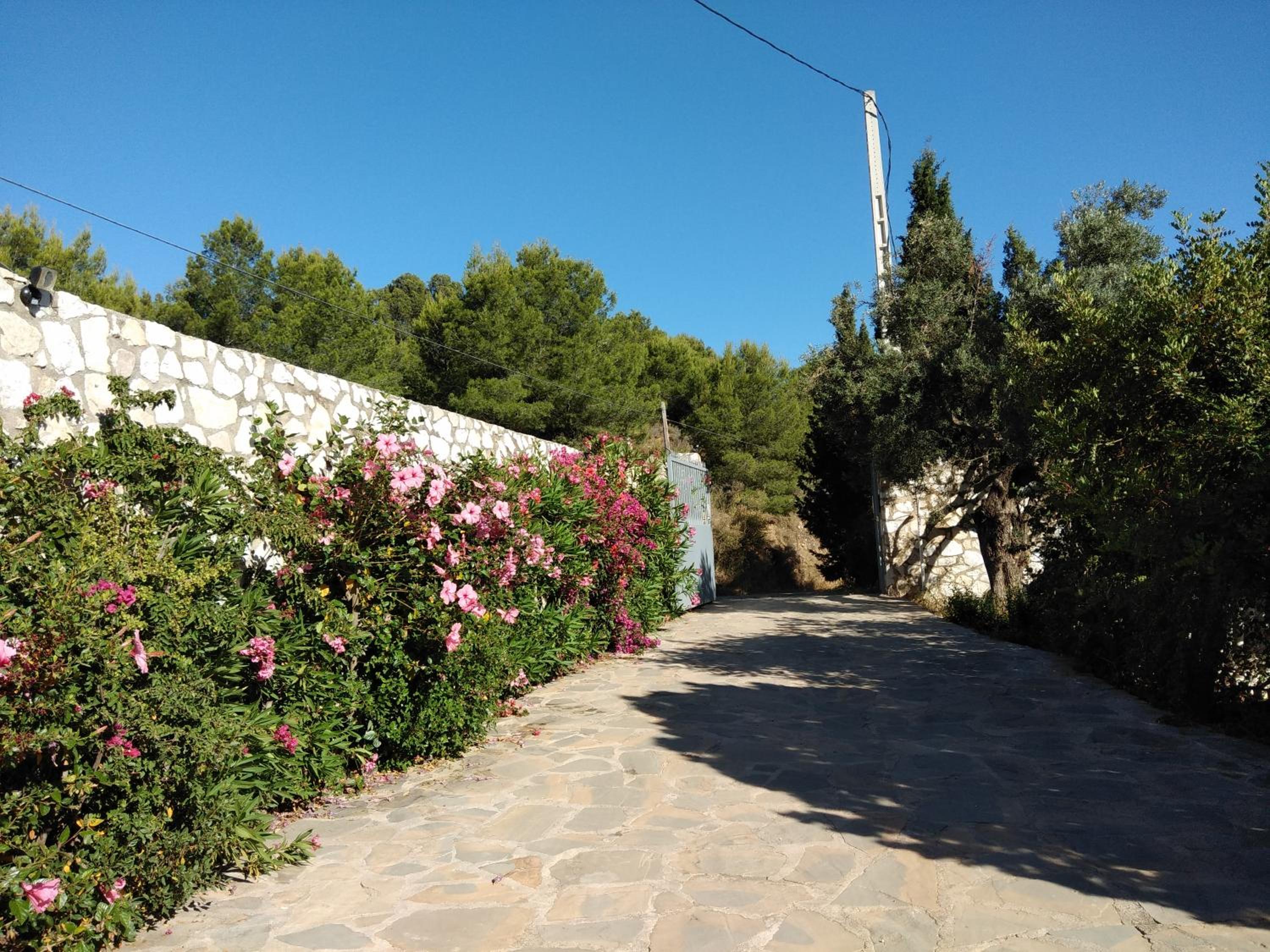 Finca Batan view 3