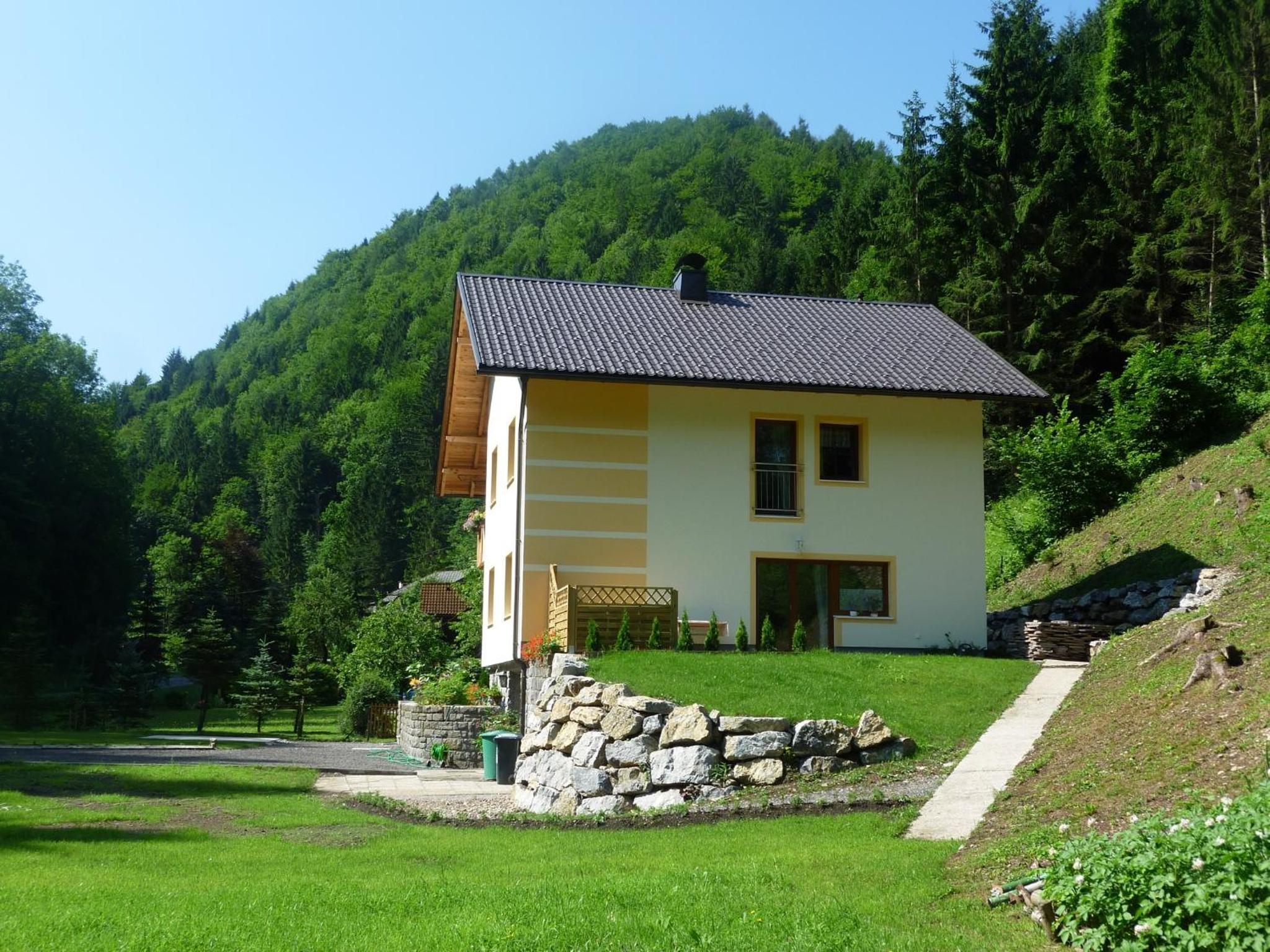 Gästehaus Forstner view 3