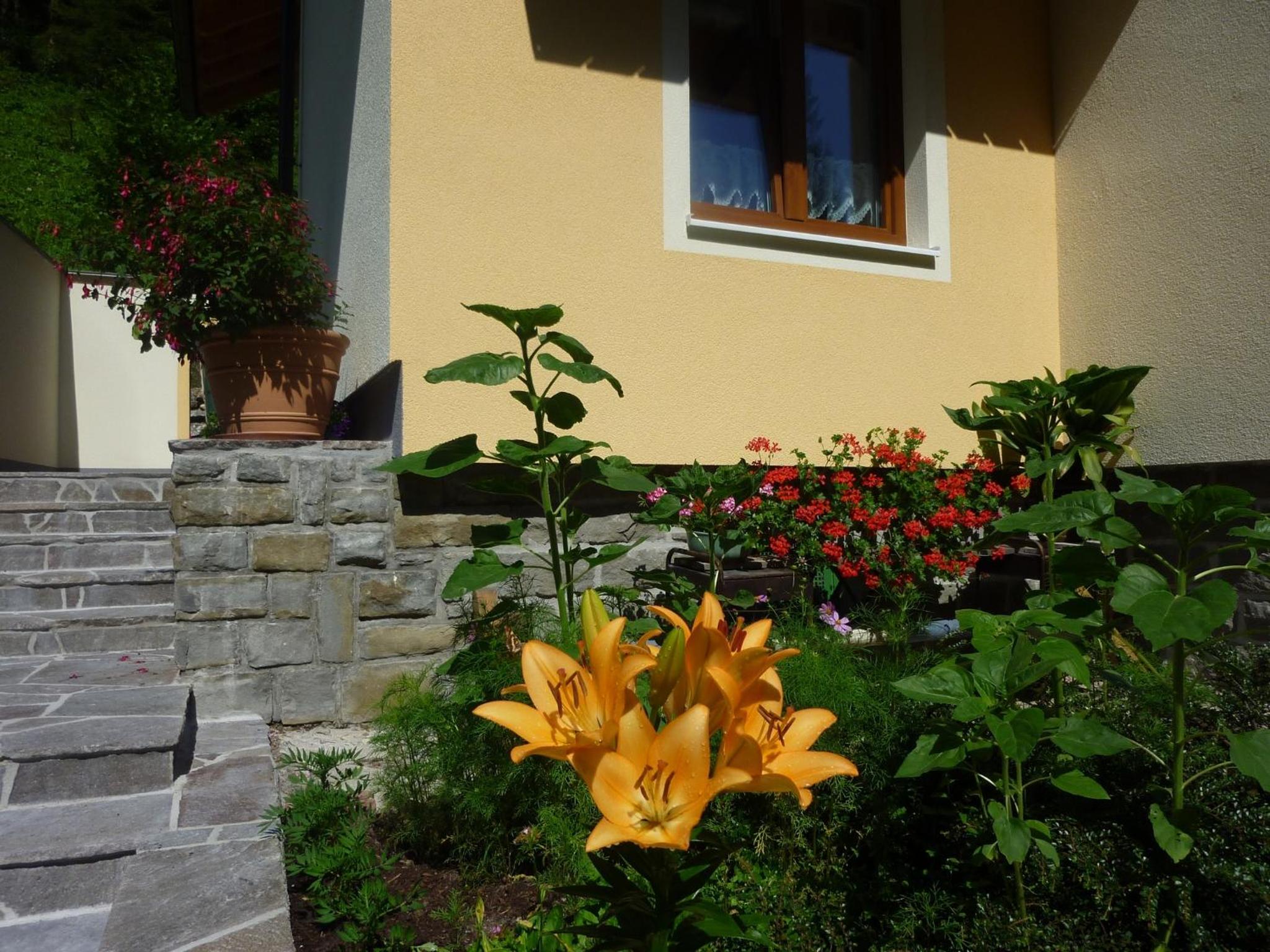 Photo 35