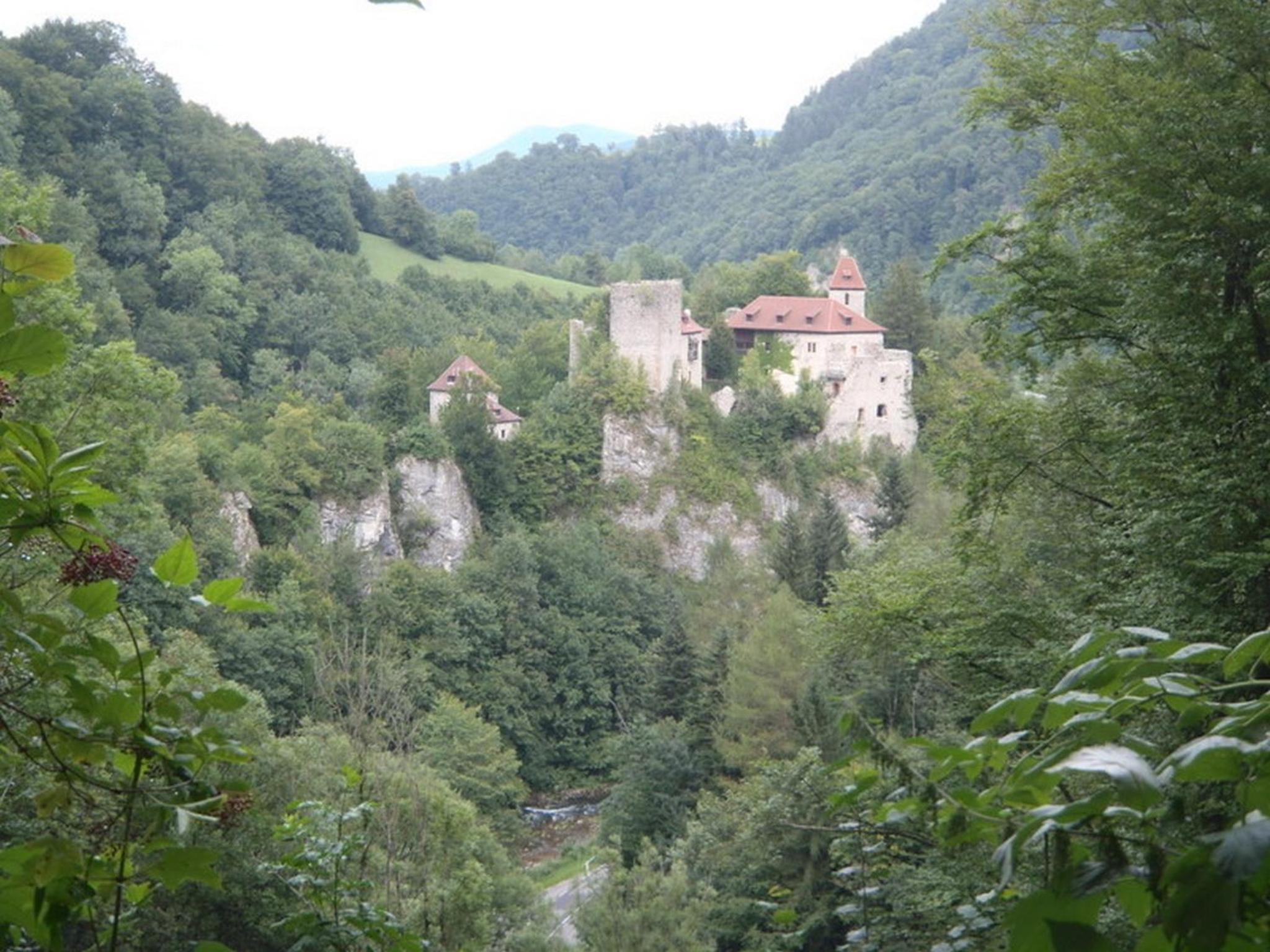 Photo 46