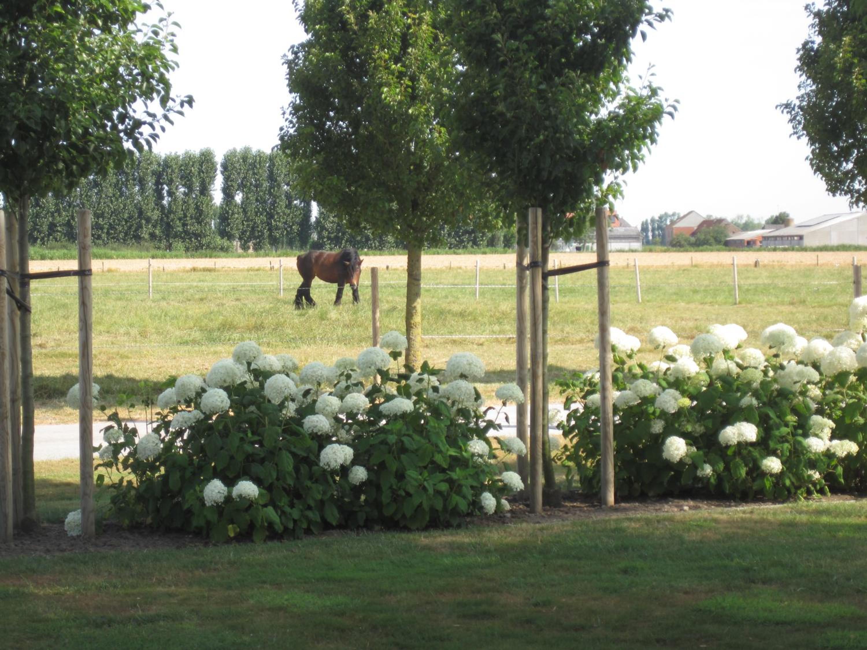 Vacation Home Mechelhof