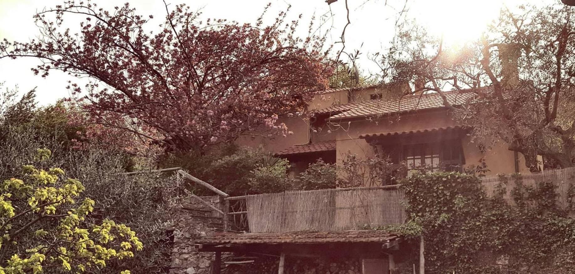 L'Uliveto D'Argento view 3
