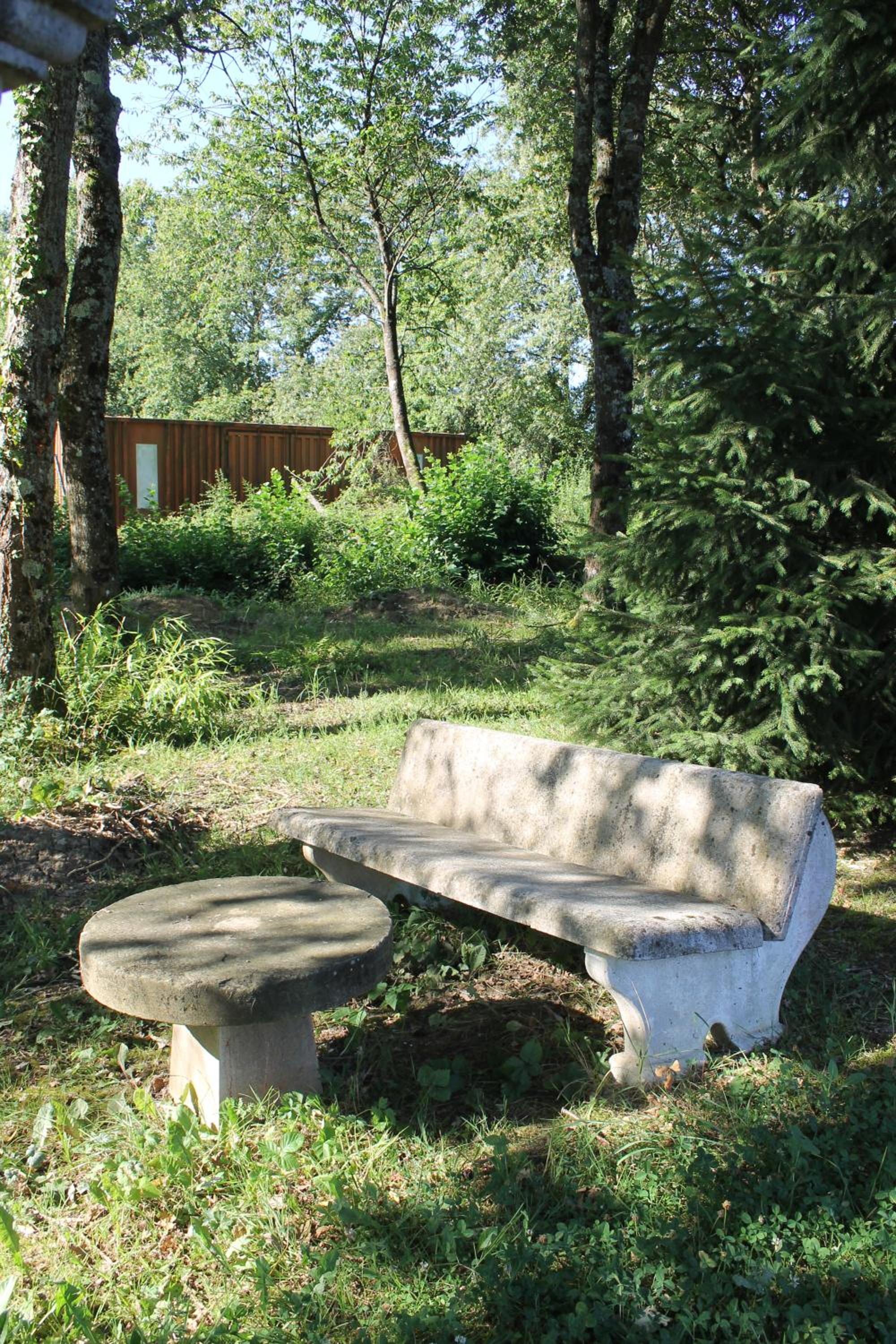 Photo 6