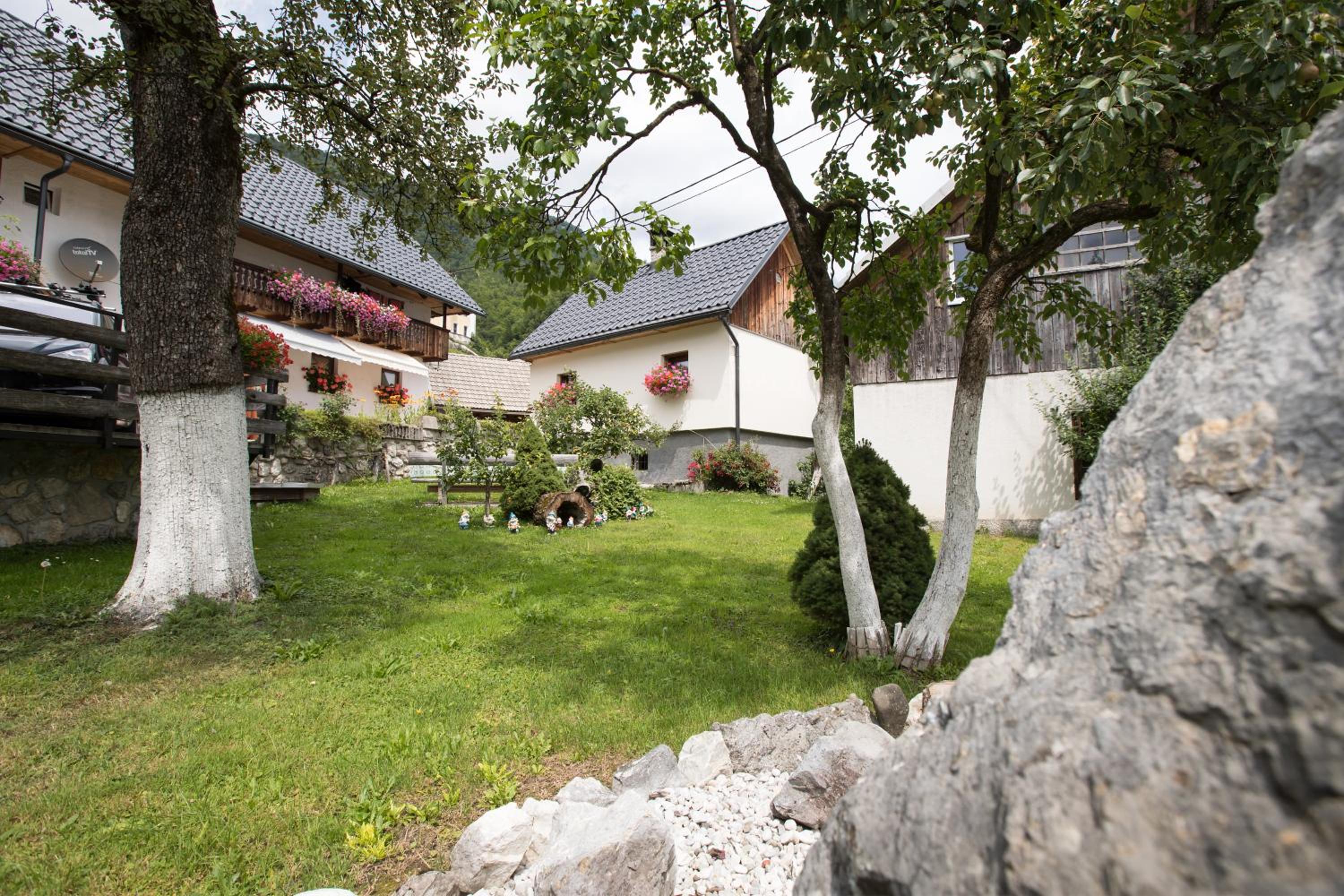 Photo 6