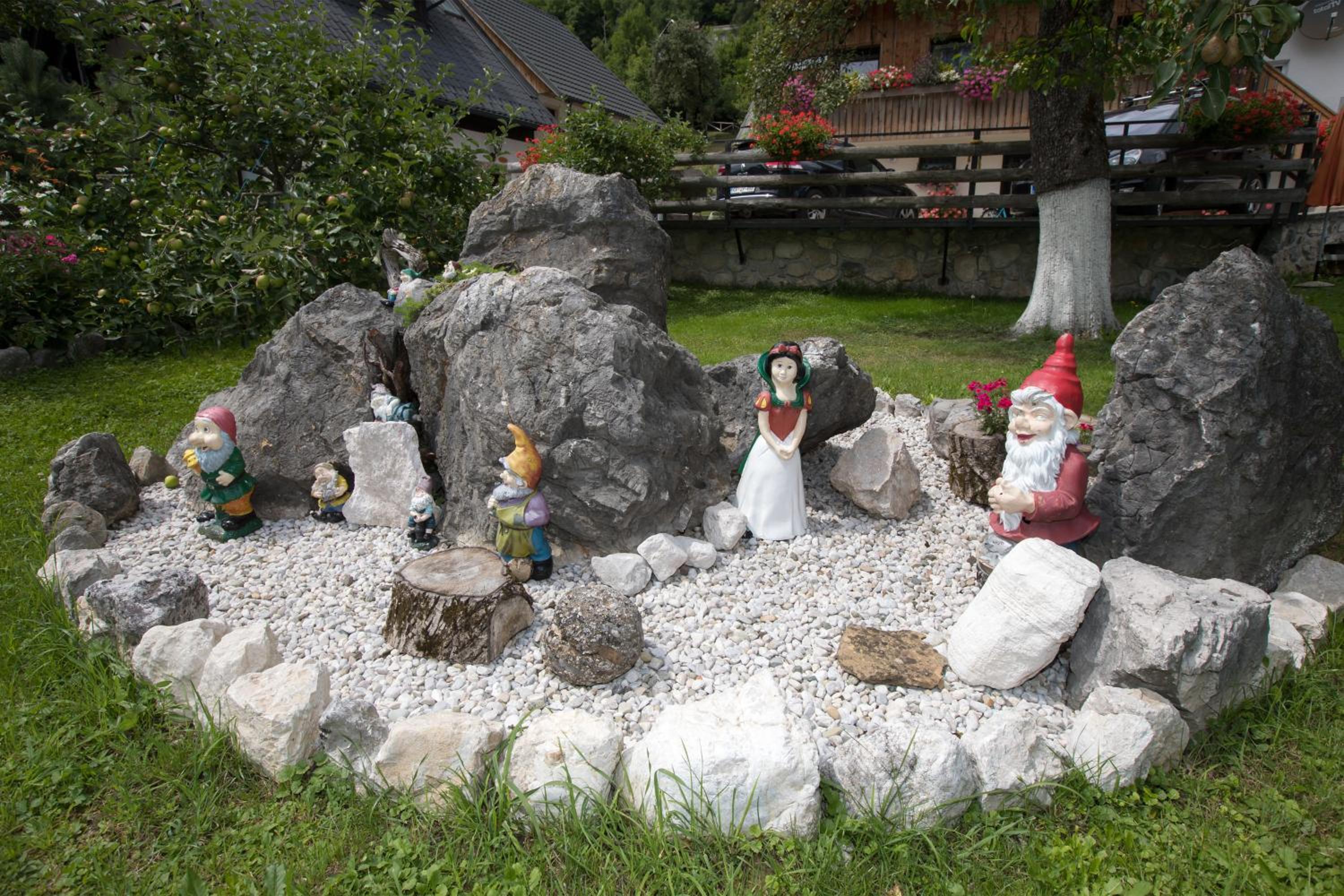 Photo 7